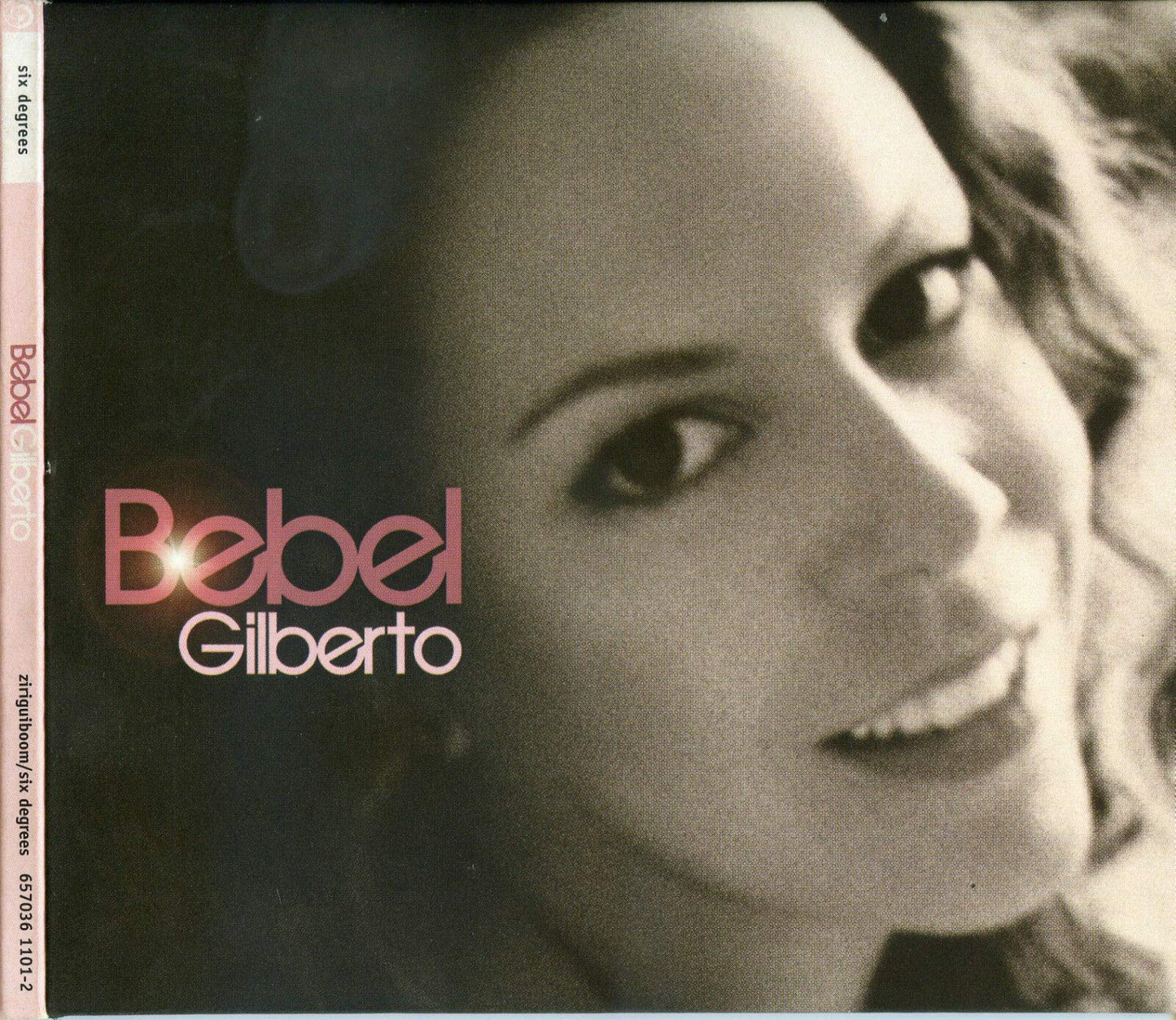 Bebel Gilberto book cover