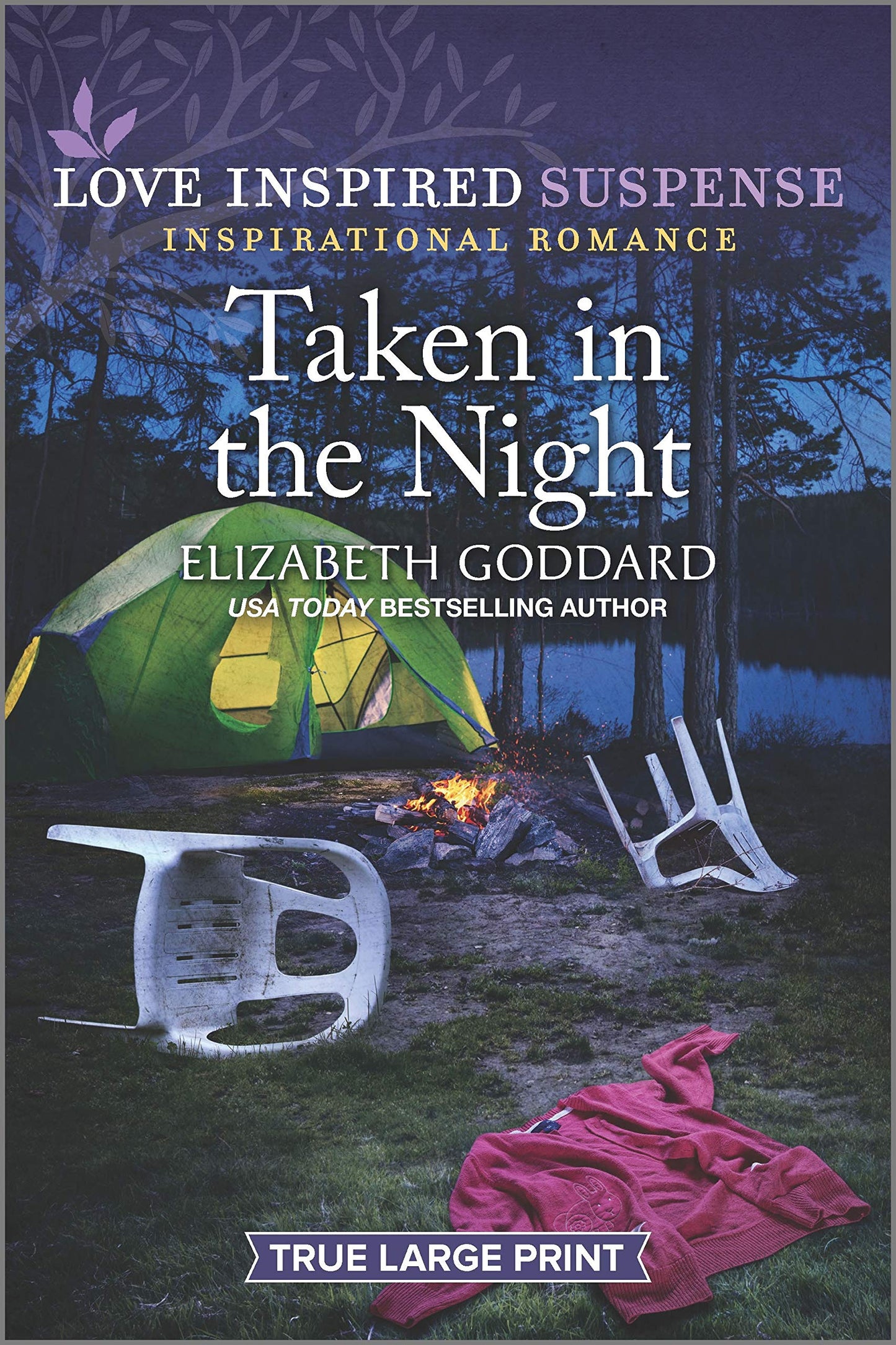 Taken in the Night book cover