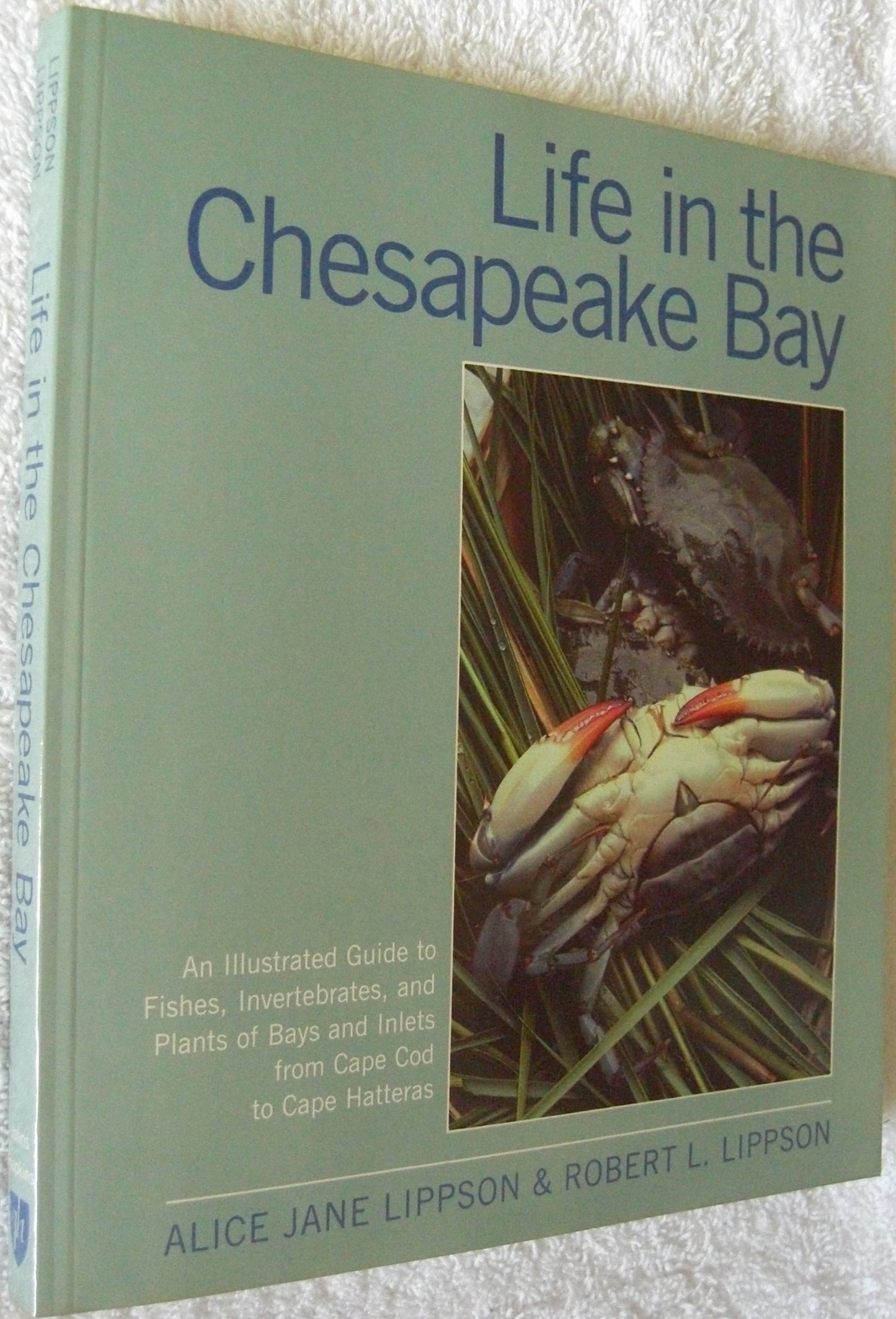 Life in the Chesapeake Bay. Illus. by Alice Jane Lippson book cover