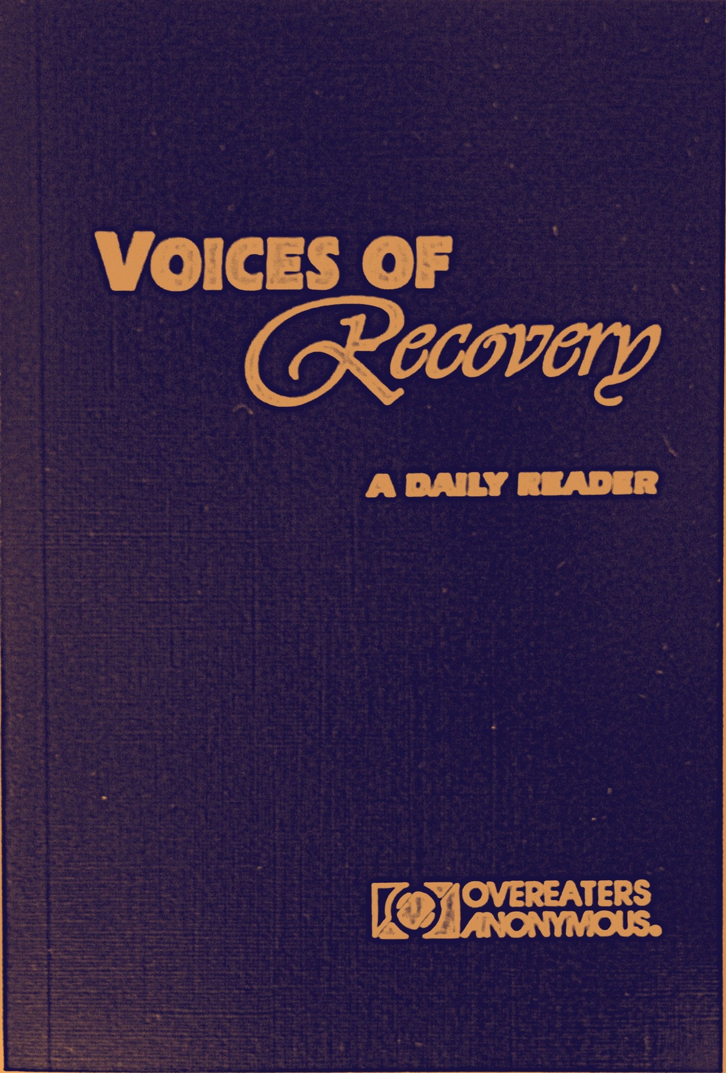 Voices of Recovery: A Daily Reader book cover