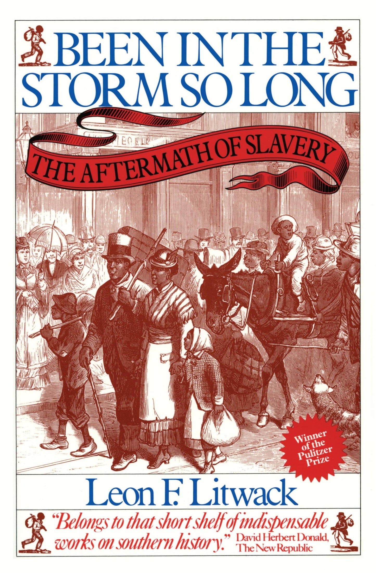 Been in the Storm So Long: The Aftermath of Slavery book cover