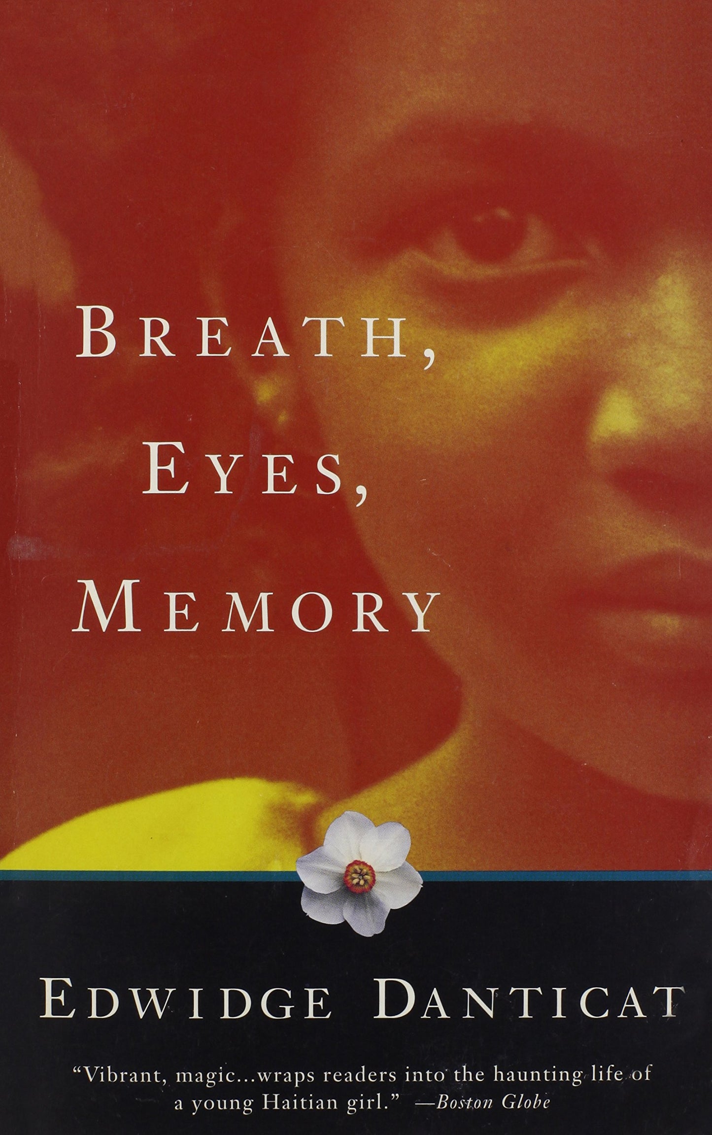 Breath, Eyes, Memory book cover