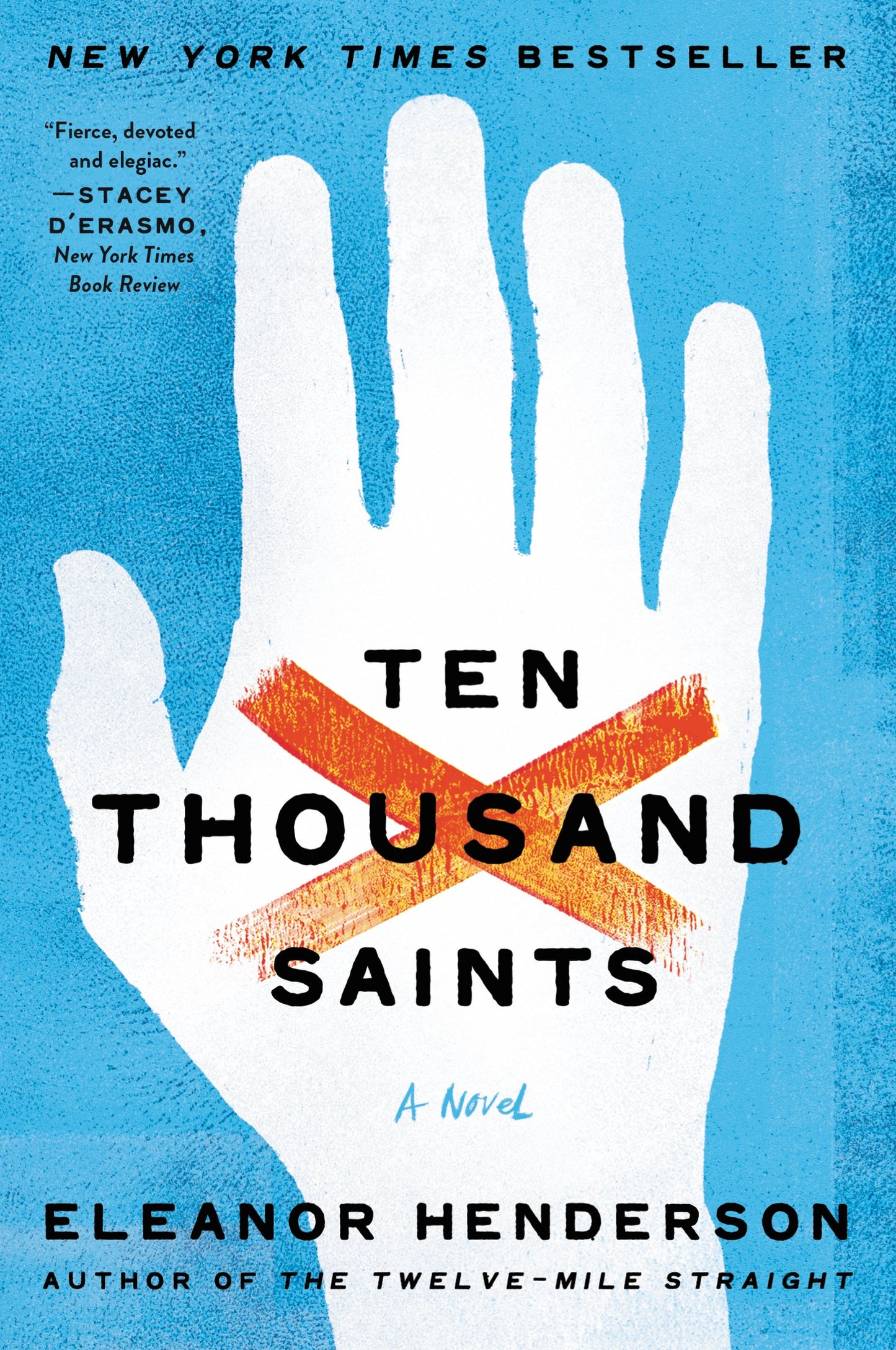 Ten Thousand Saints book cover