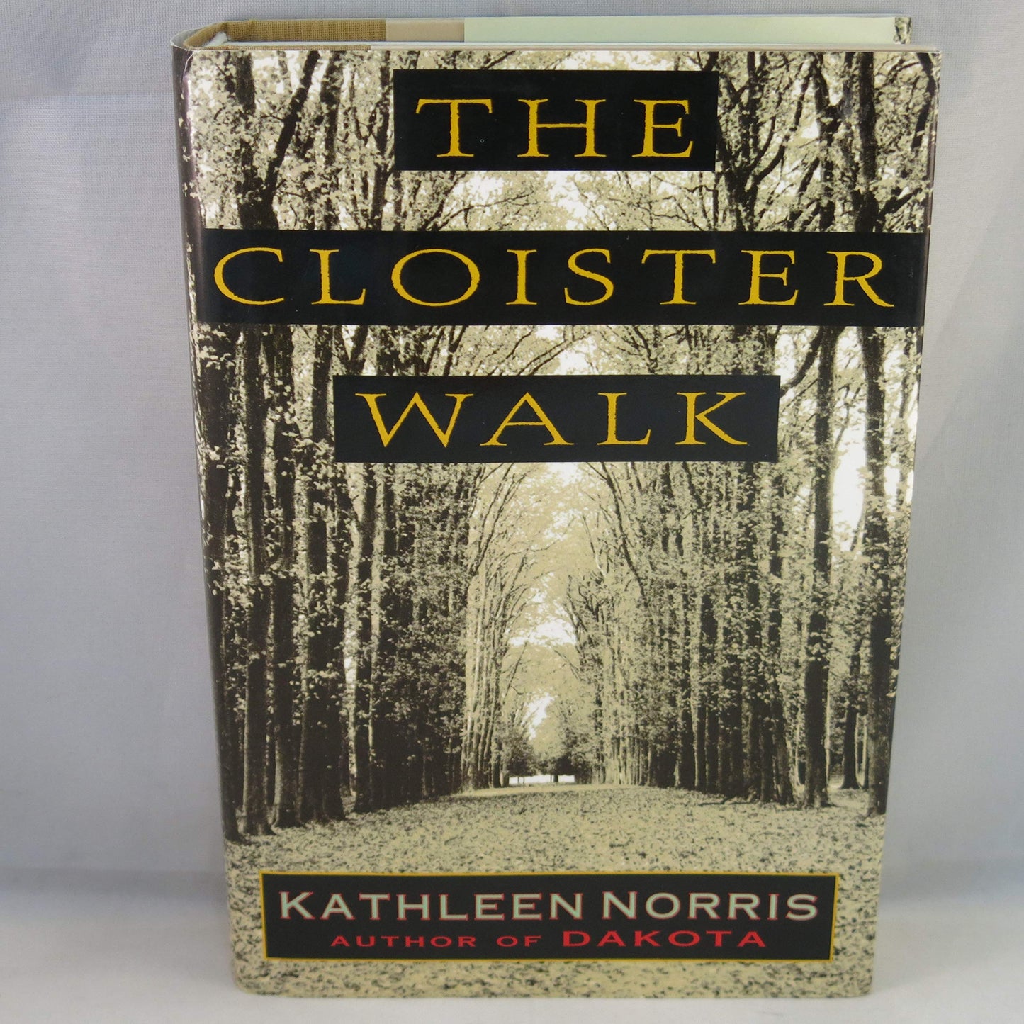 Cloister Walk book cover
