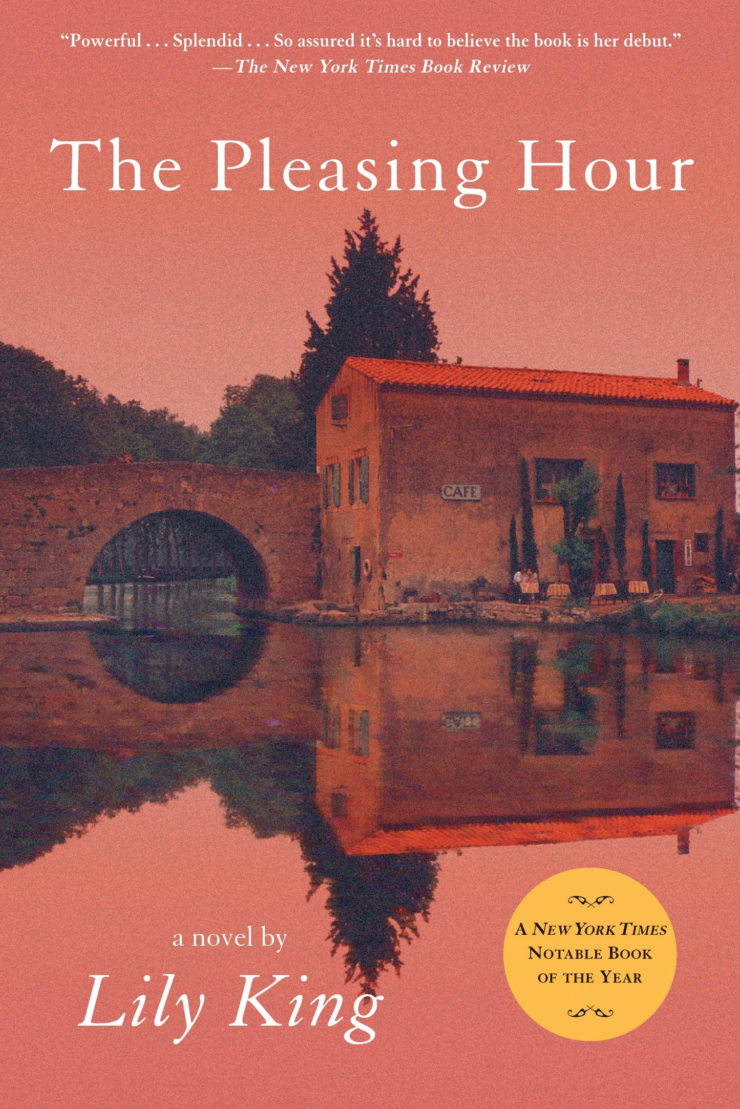 The Pleasing Hour book cover