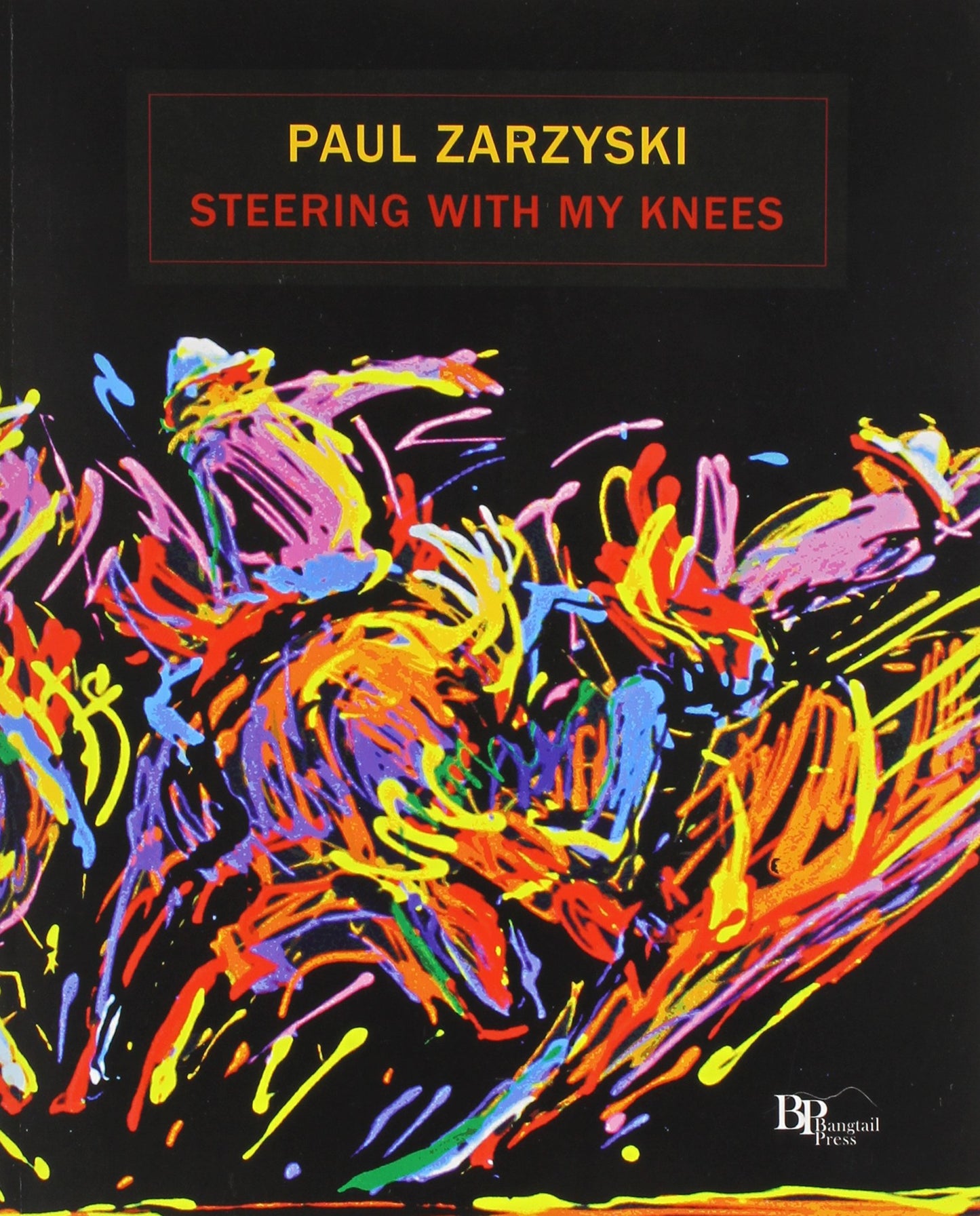 Steering with My Knees book cover