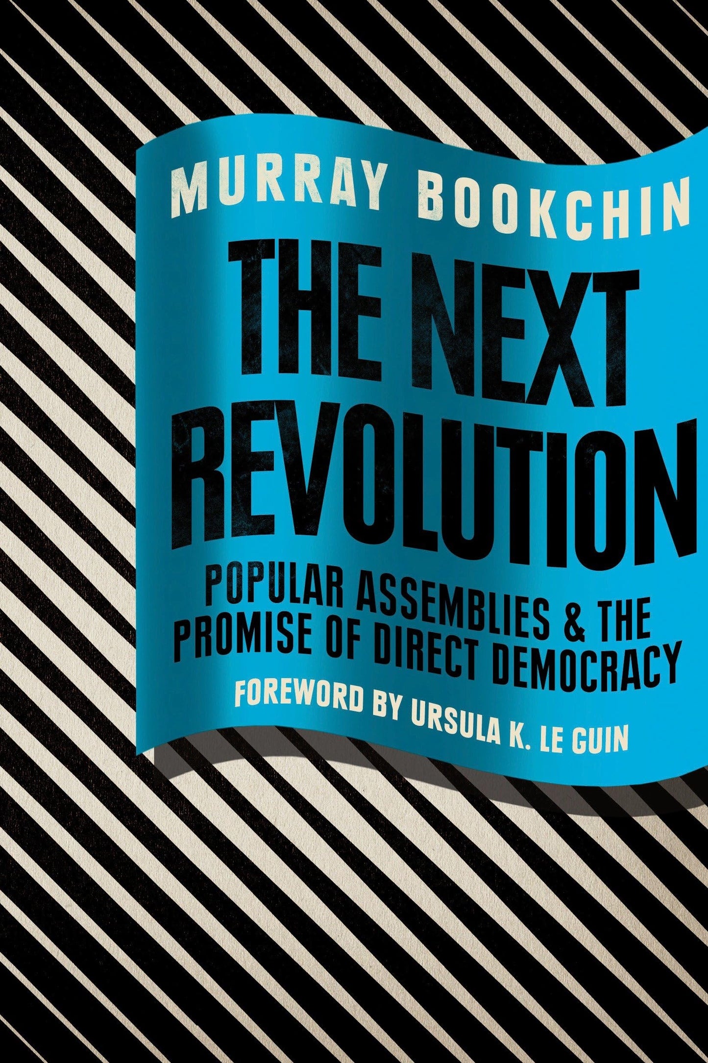 Next Revolution: Popular Assemblies and the Promise of Direct Democracy book cover
