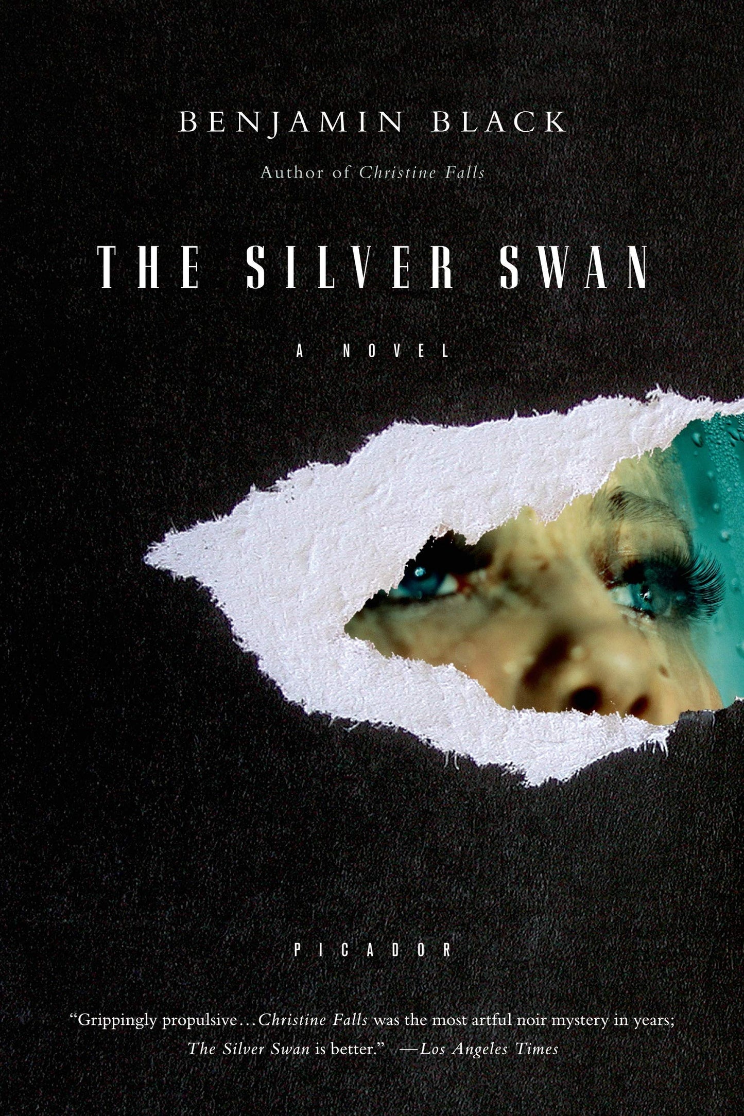 Silver Swan book cover