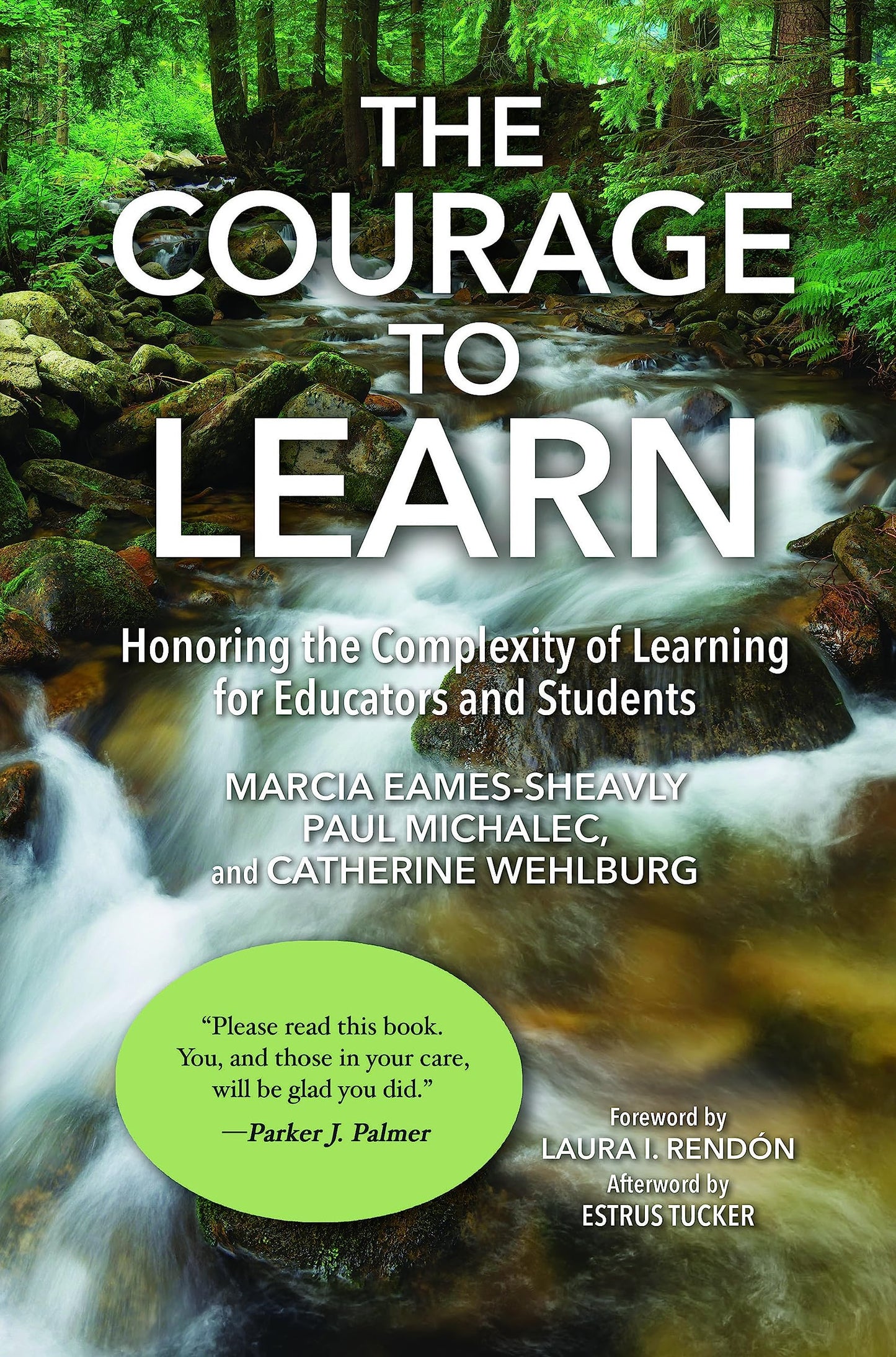 Courage to Learn: Honoring the Complexity of Learning for Educators and Students book cover