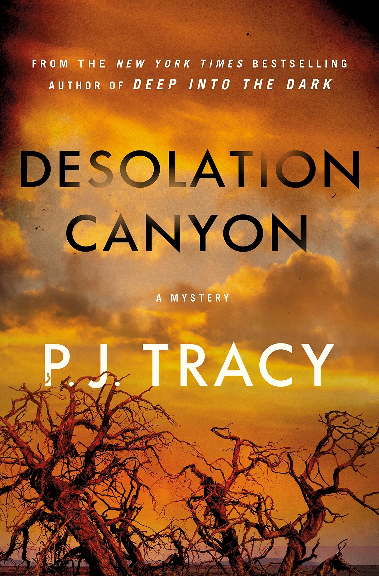 Desolation Canyon: A Mystery book cover