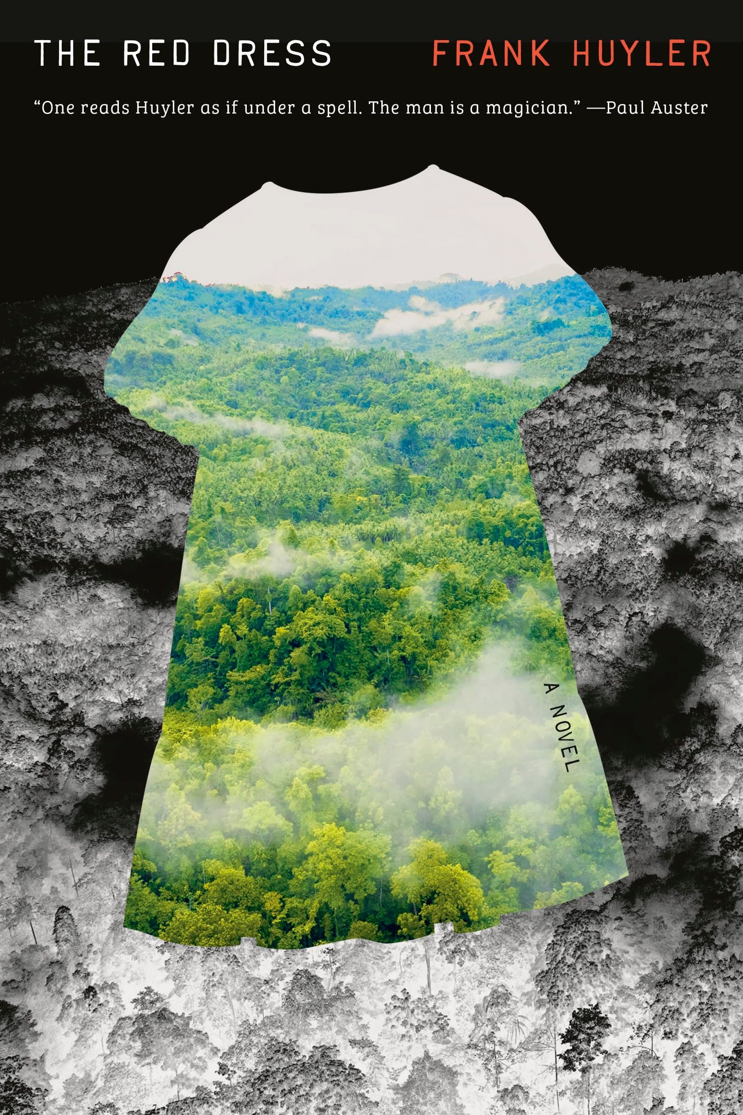 The Red Dress book cover