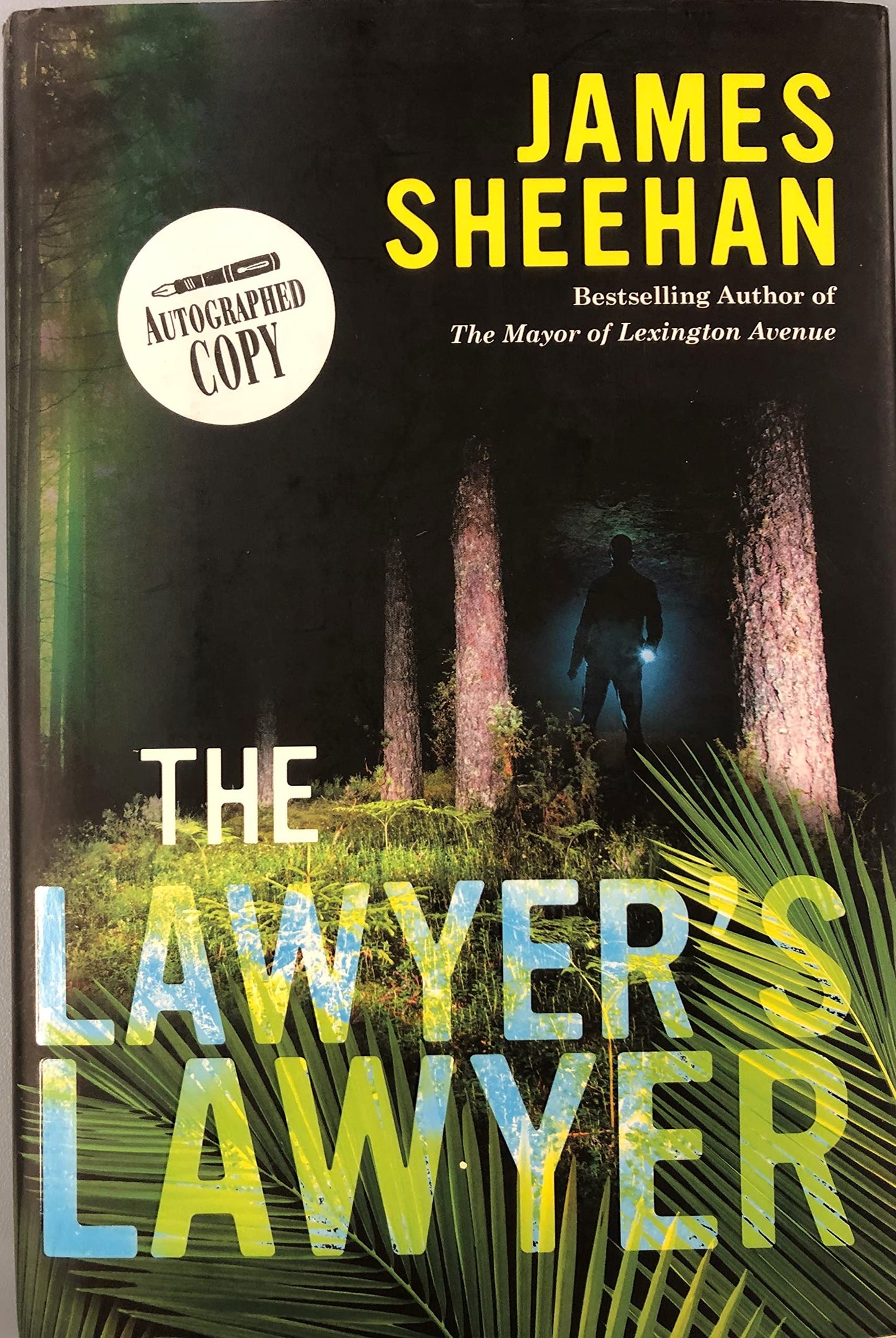 Lawyer's Lawyer