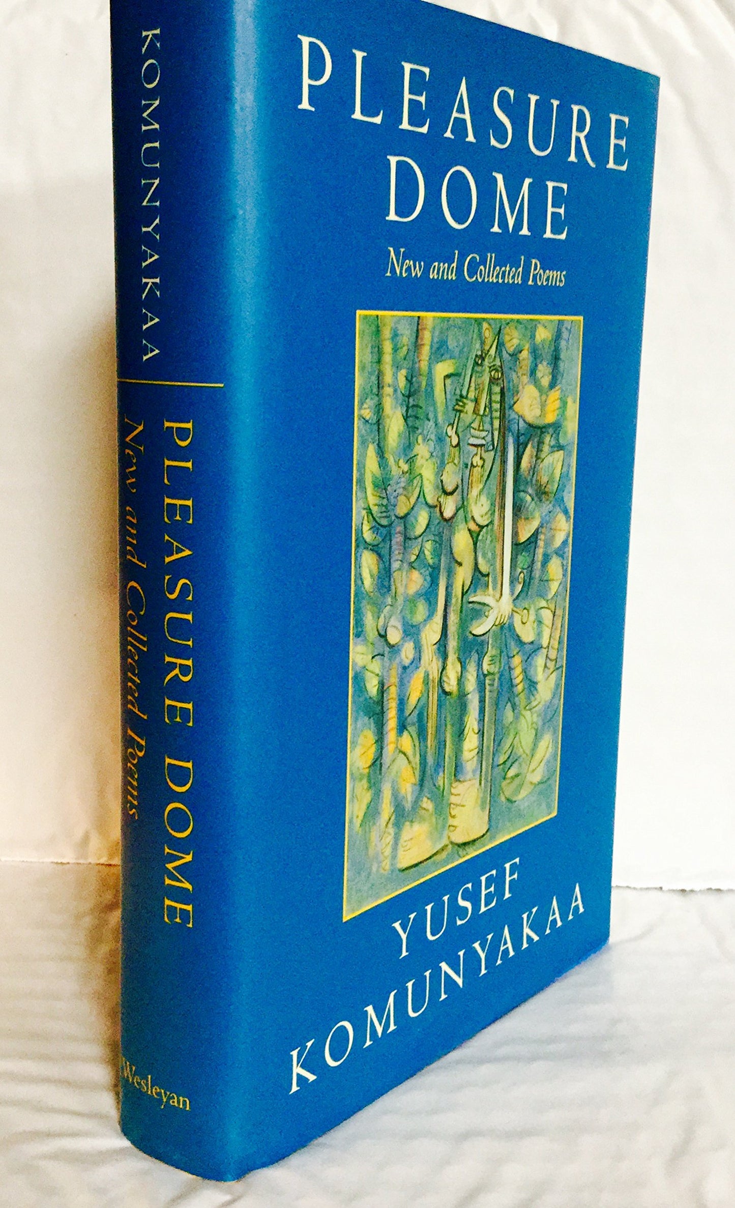 Pleasure Dome: A Dance History Reader book cover