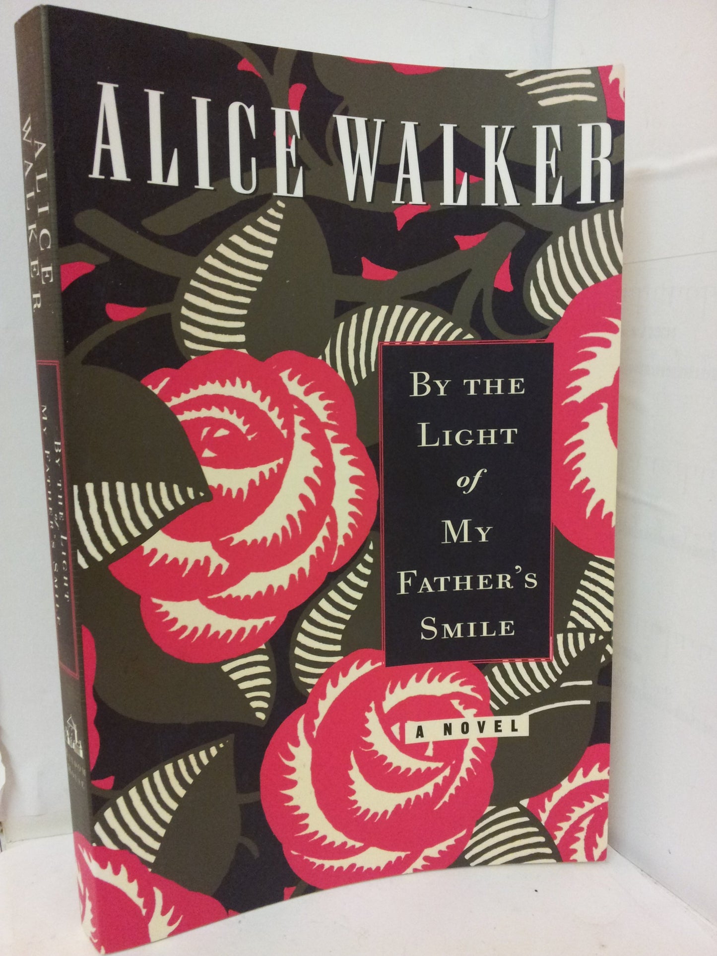 By the Light of My Fathers Smile book cover