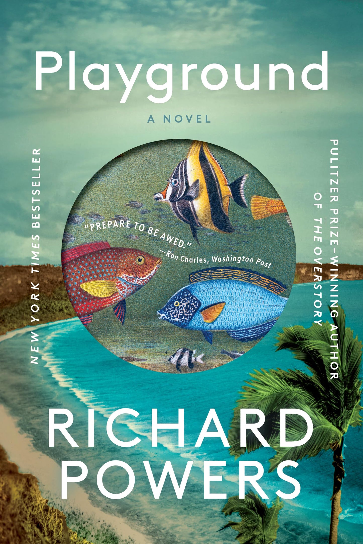 Playground book cover