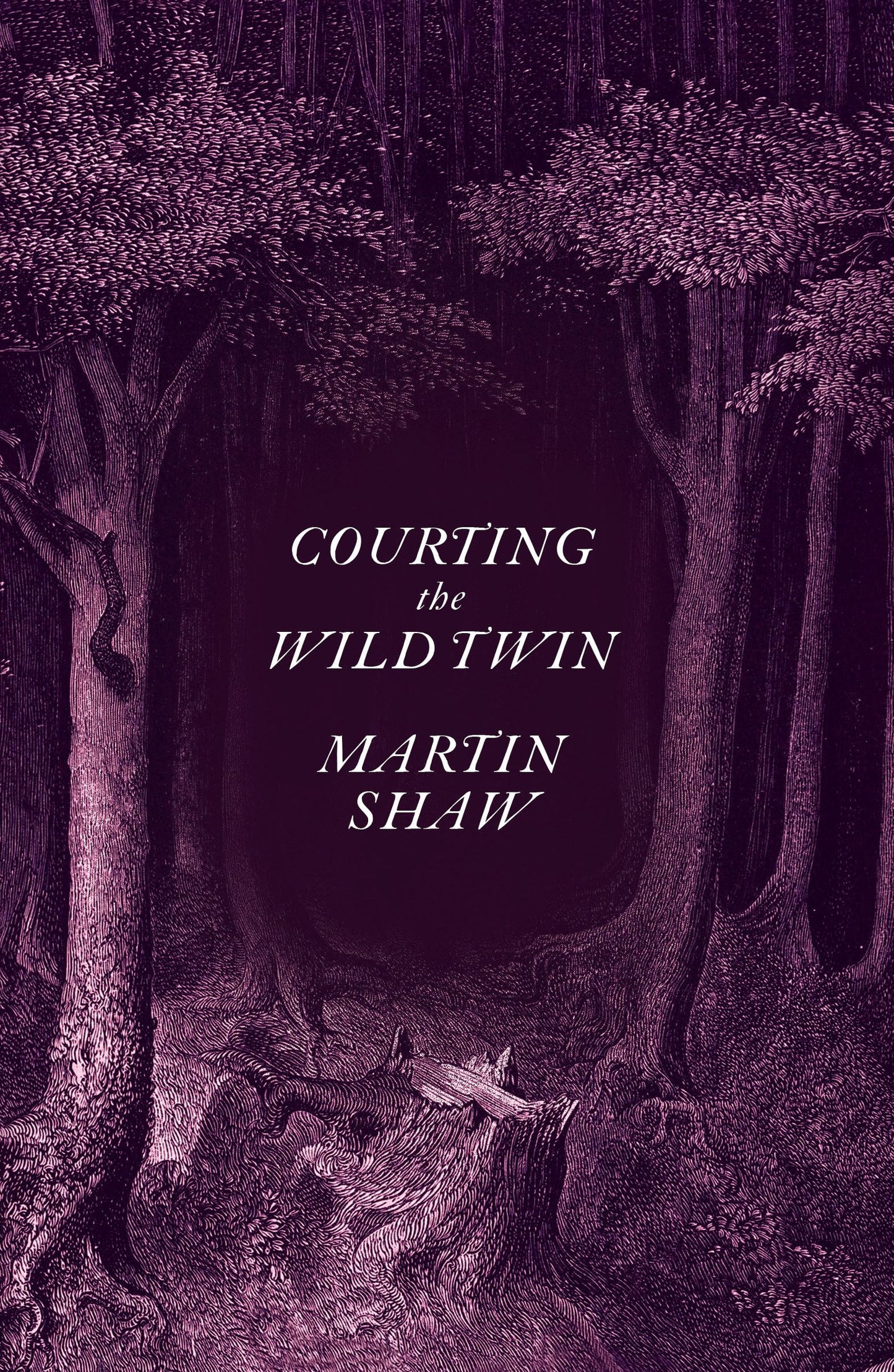 Courting the Wild Twin book cover