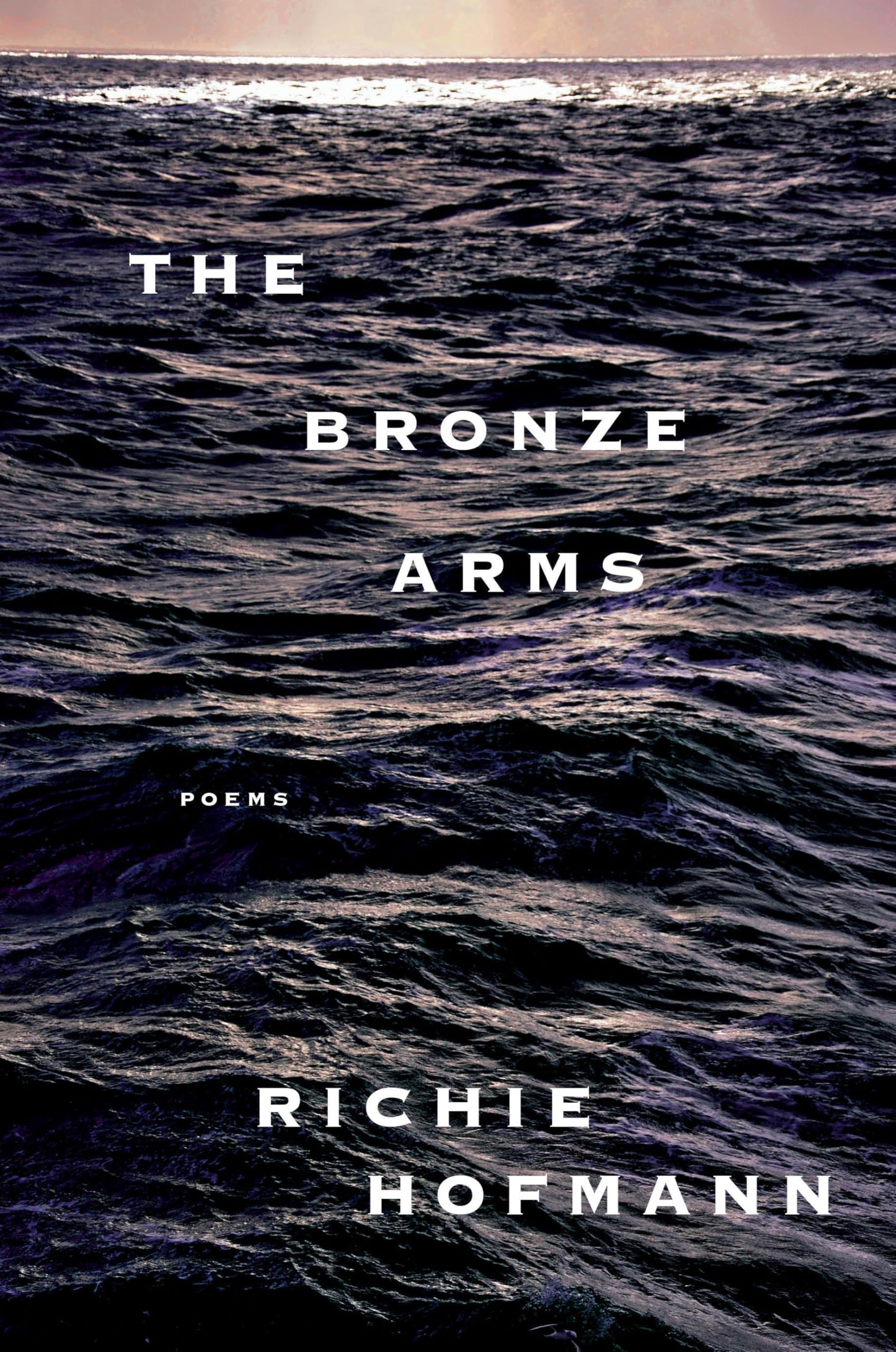 The Bronze Arms book cover