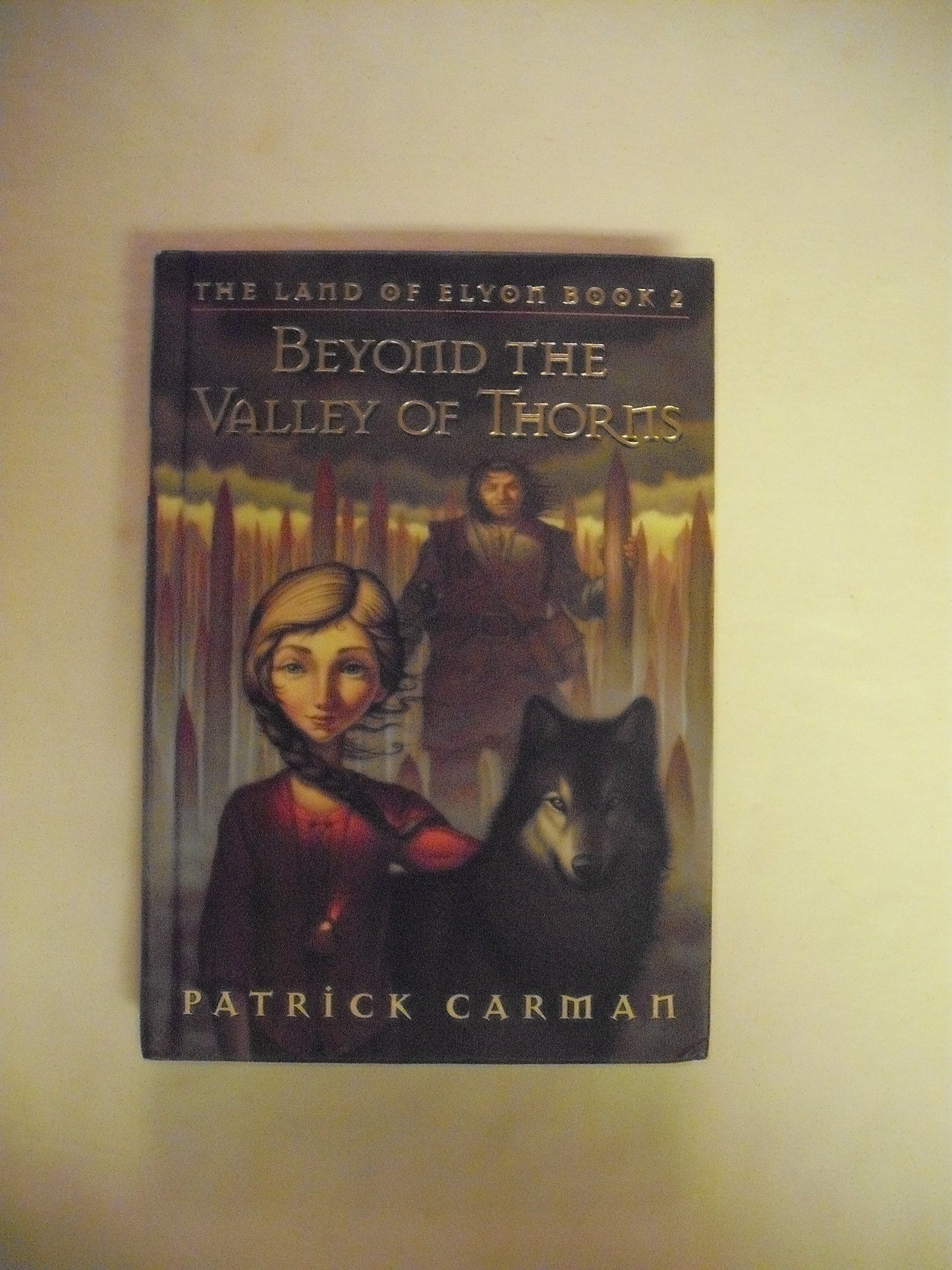 Beyond the Valley of Thorns book cover
