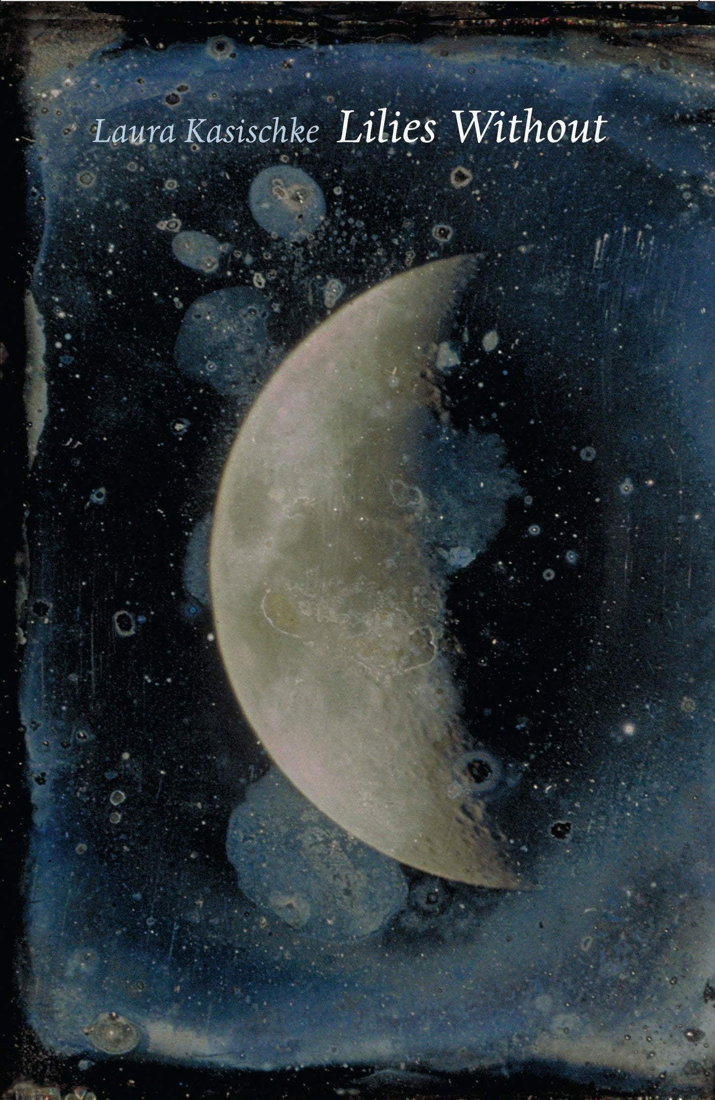 Lilies Without book cover