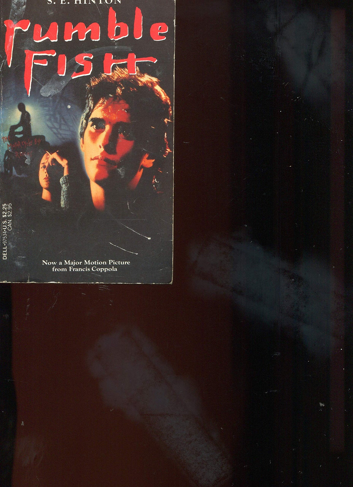 Rumble Fish book cover