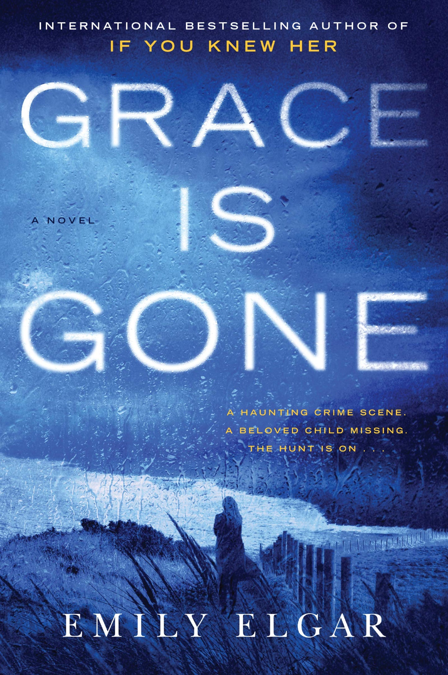 Grace Is Gone book cover