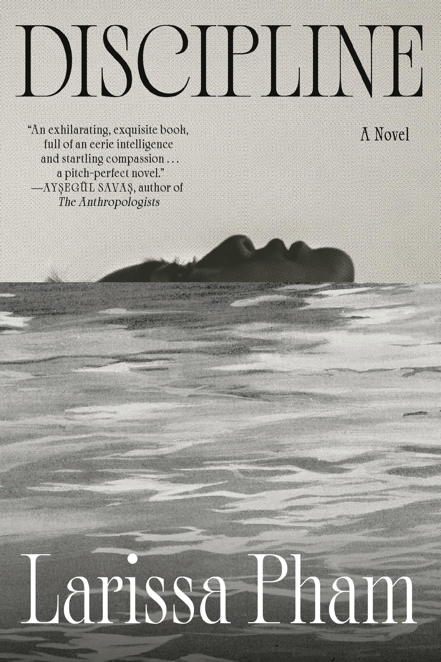 Discipline book cover
