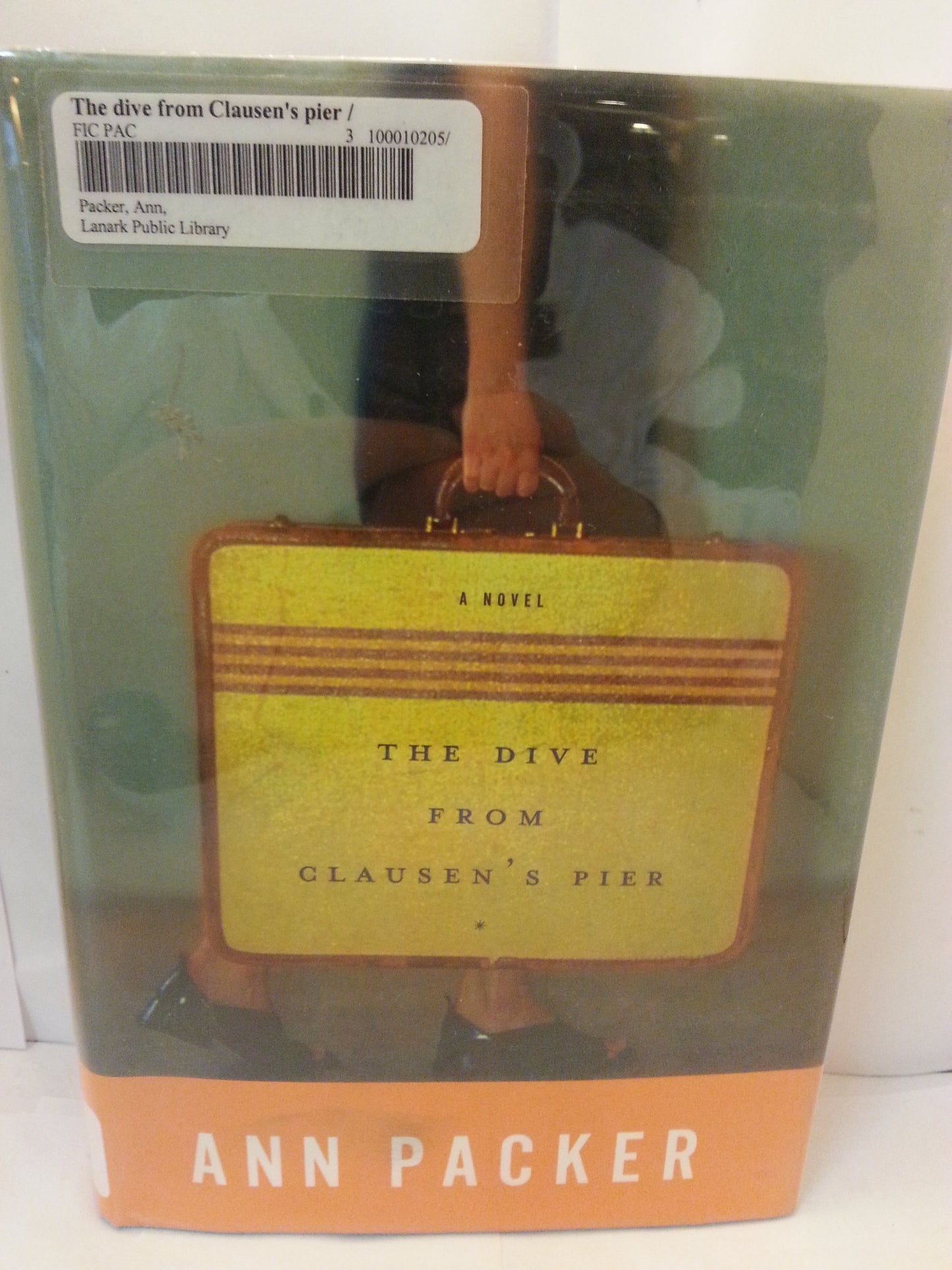 Dive from Clausen's Pier book cover