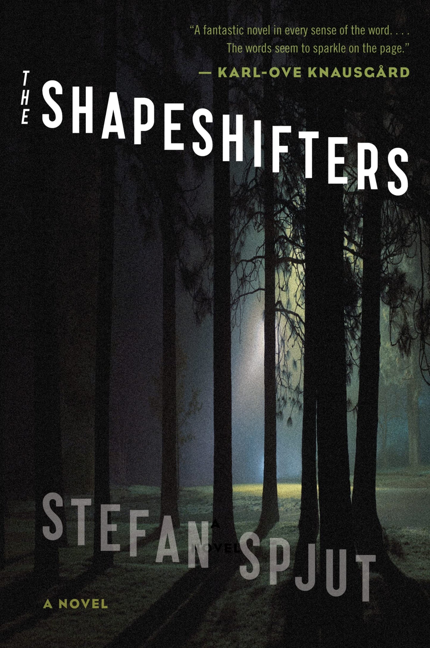 Shapeshifters book cover