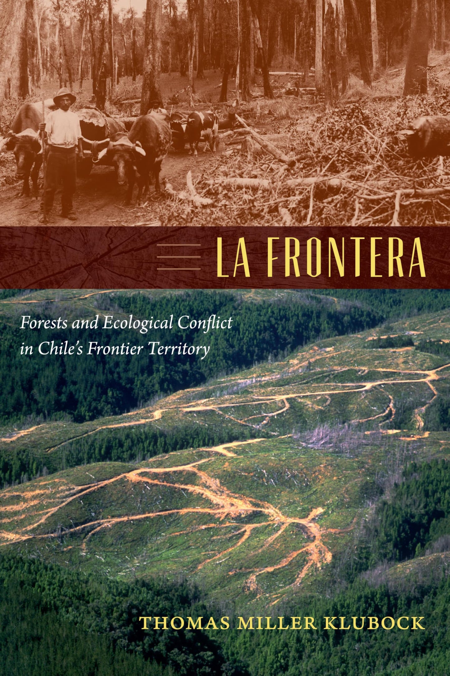 La Frontera: Forests and Ecological Conflict in Chile's Frontier Territory book cover