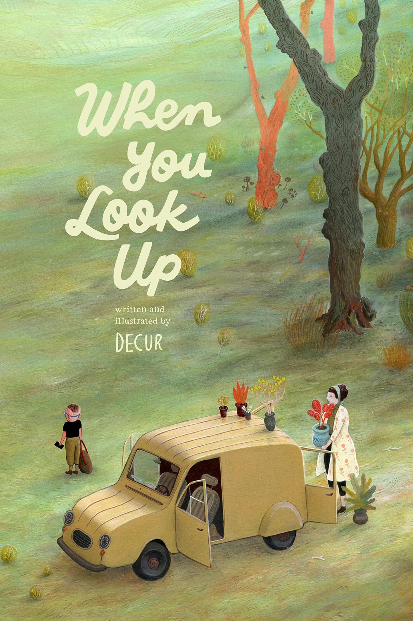 When You Look Up book cover
