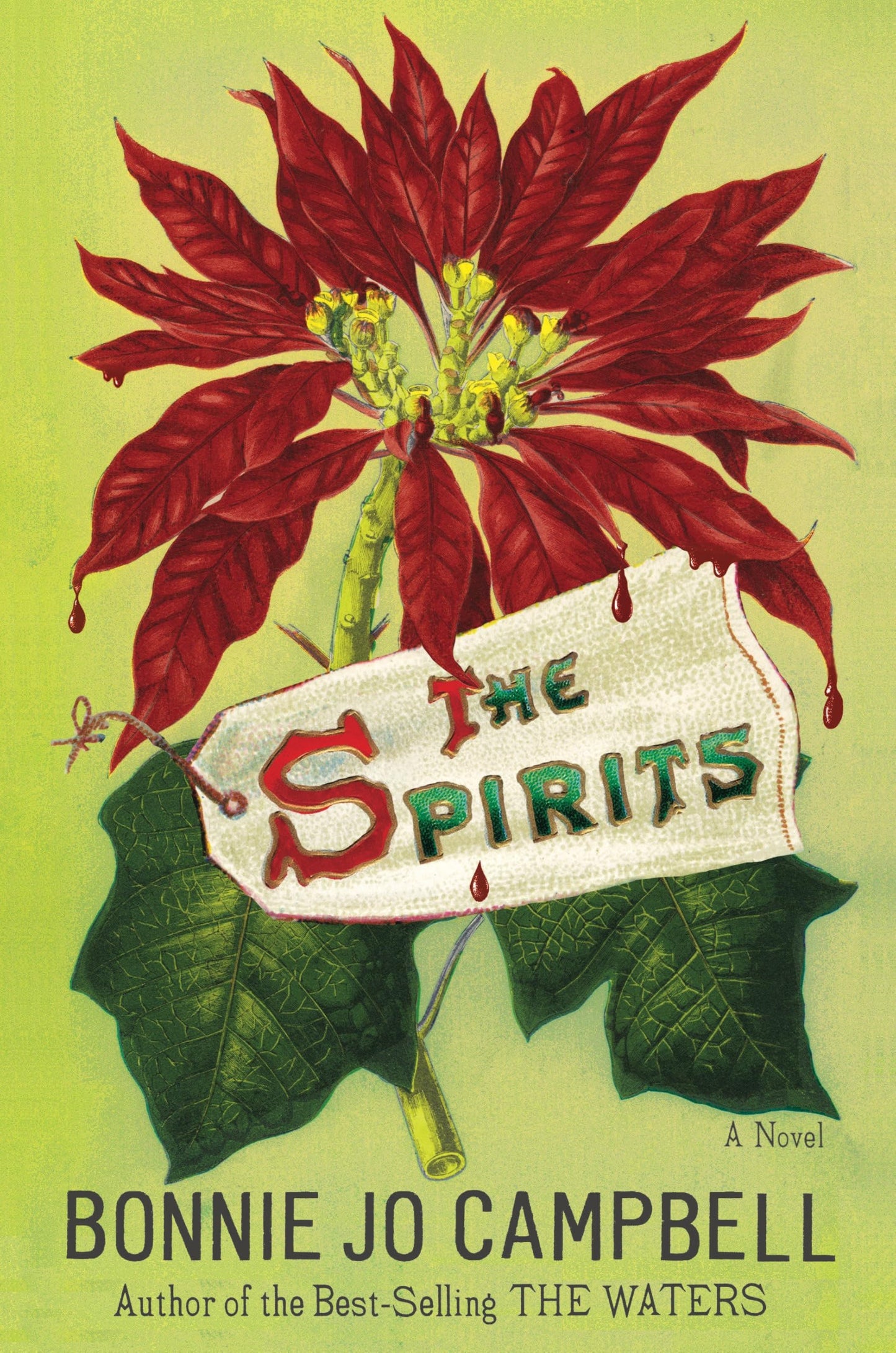 The Spirits book cover