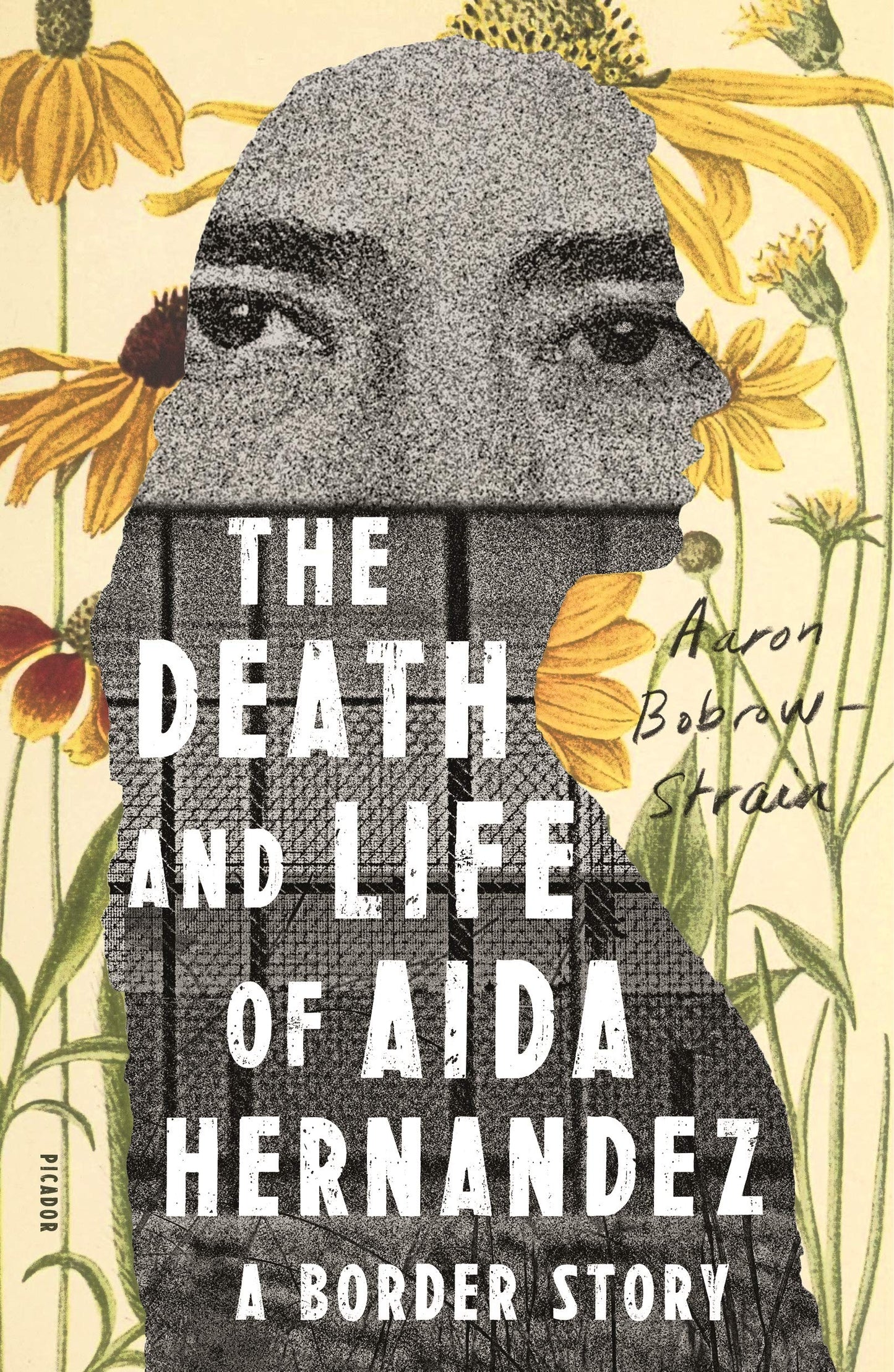 Death and Life of Aida Hernandez: A Border Story book cover