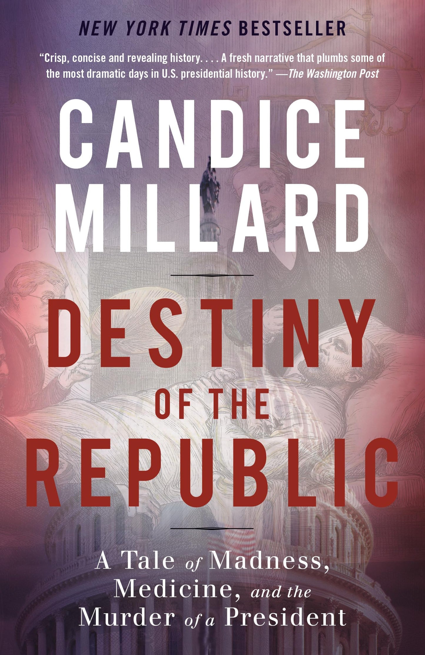 Destiny of the Republic: A Tale of Madness, Medicine and the Murder of a President book cover