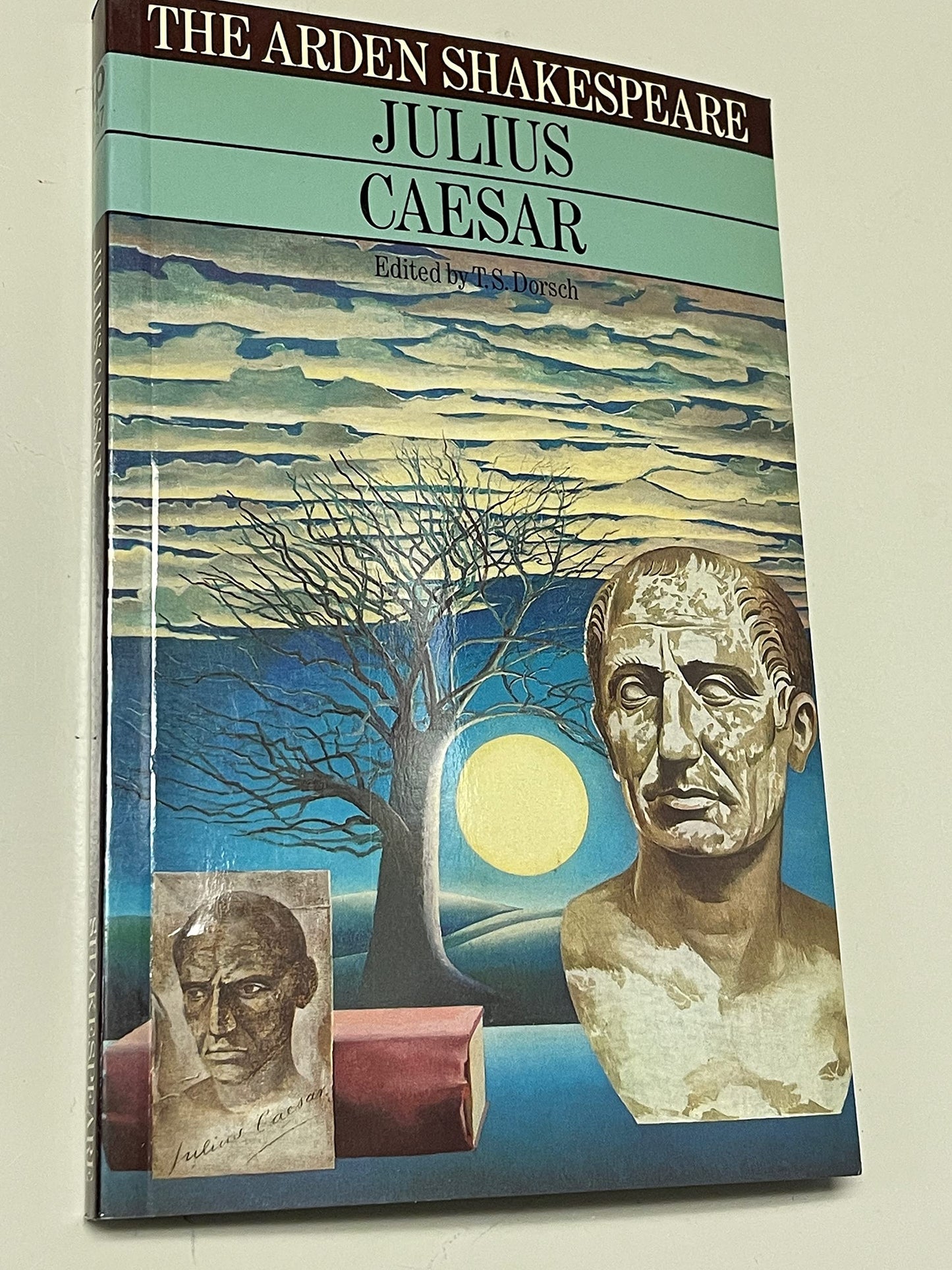 Julius Caesar: The Pursuit of Power book cover