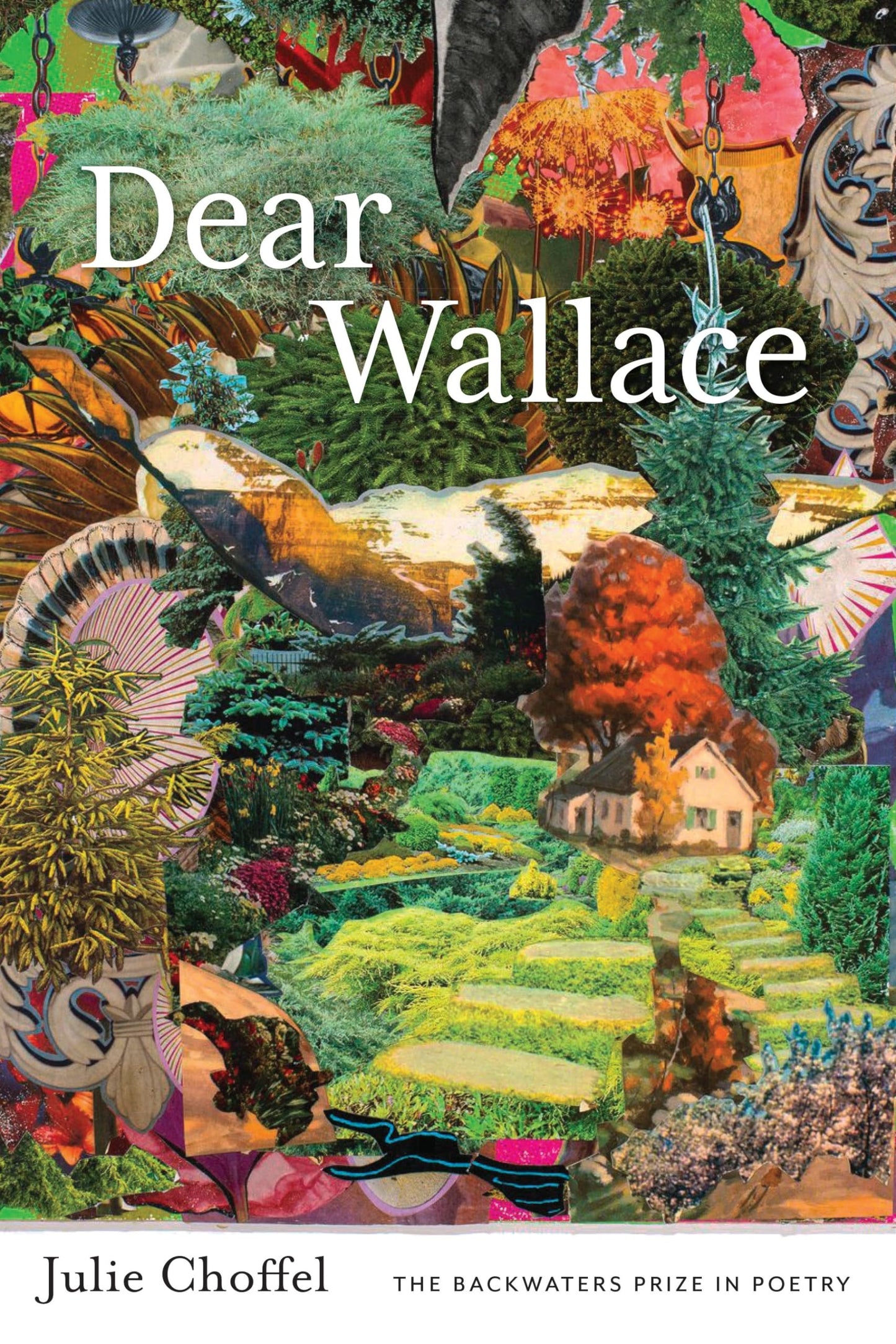 Dear Wallace book cover