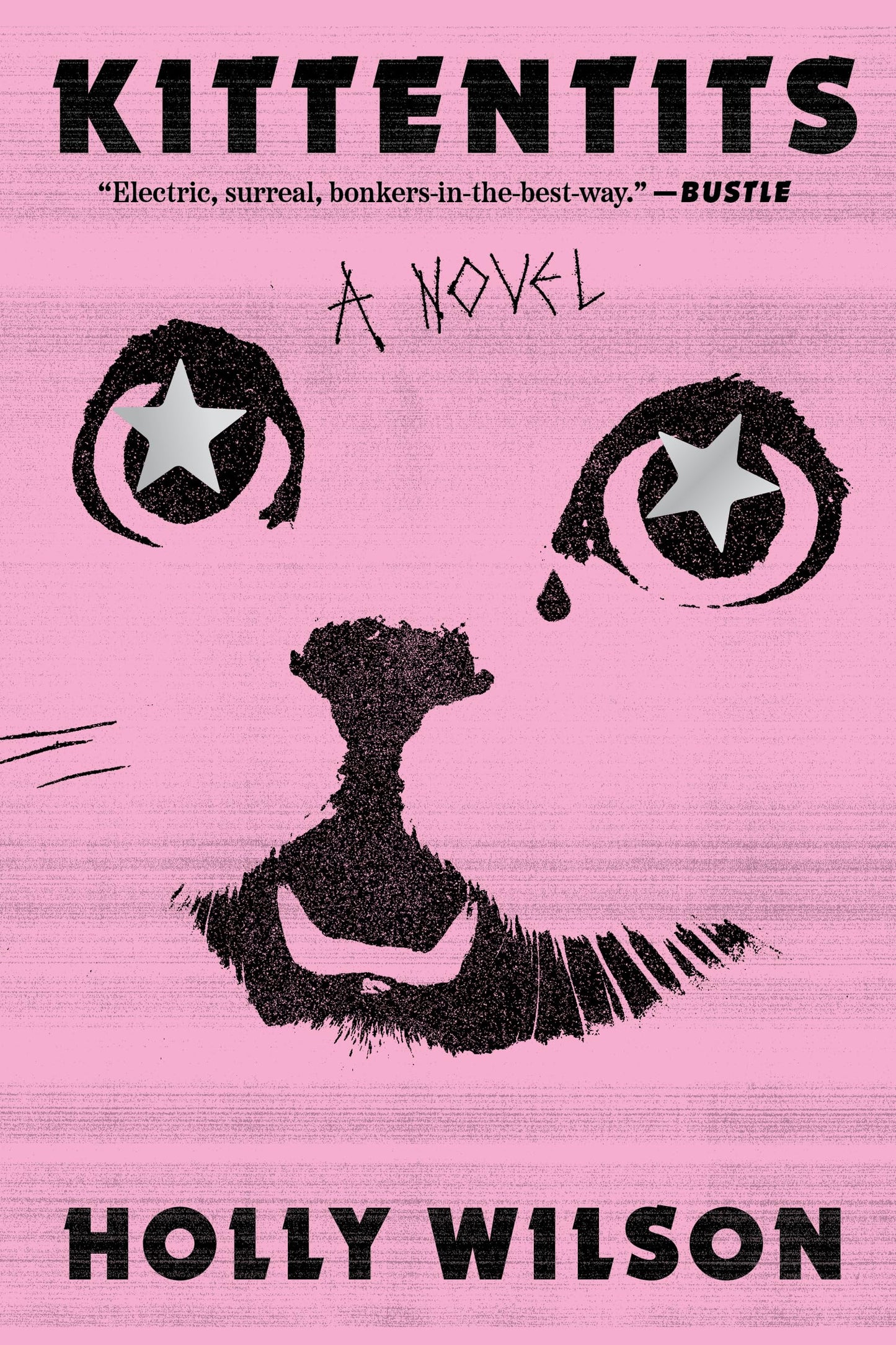 Kittentits book cover