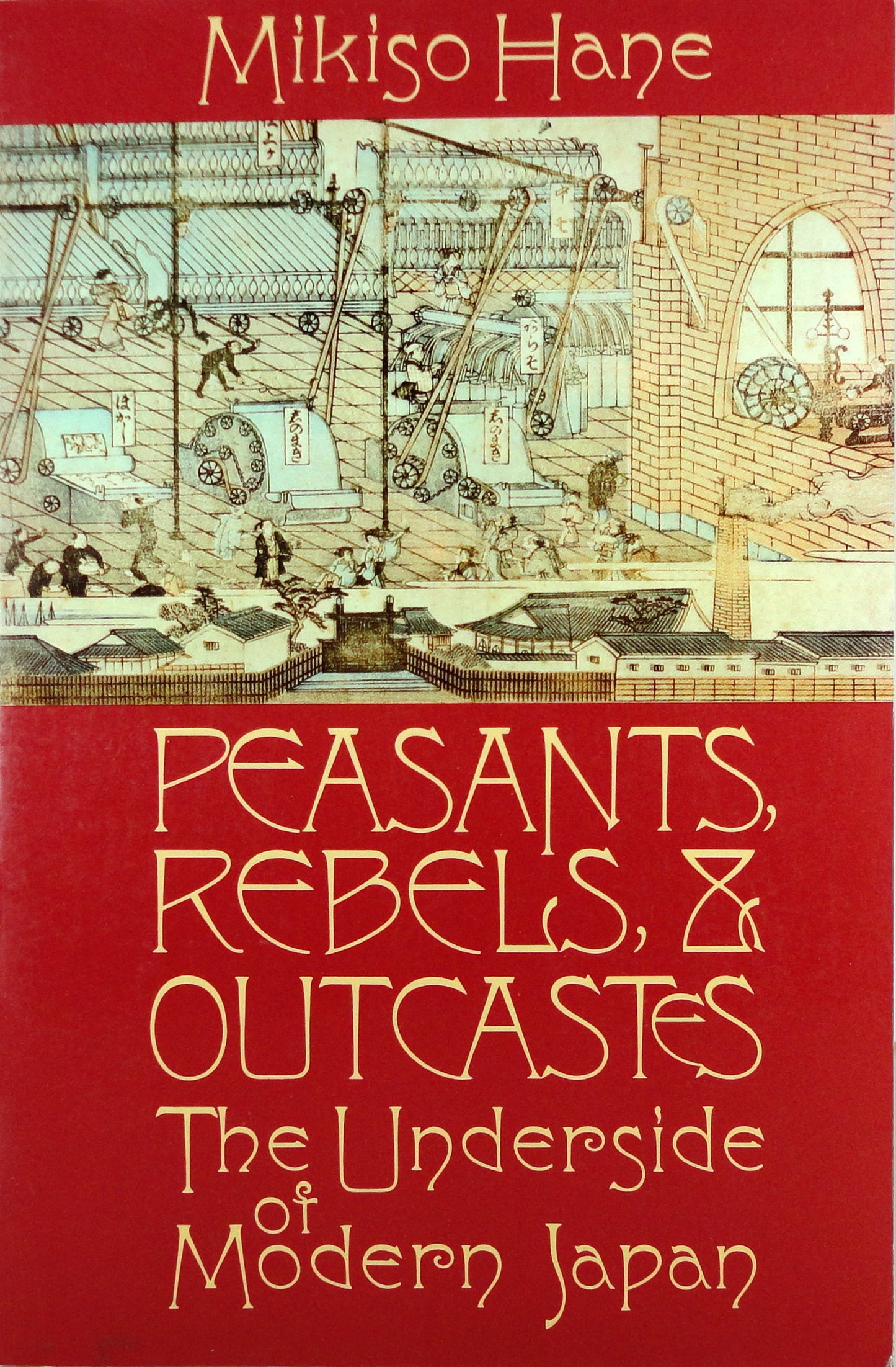 Peasants, Rebels and Outcastes book cover