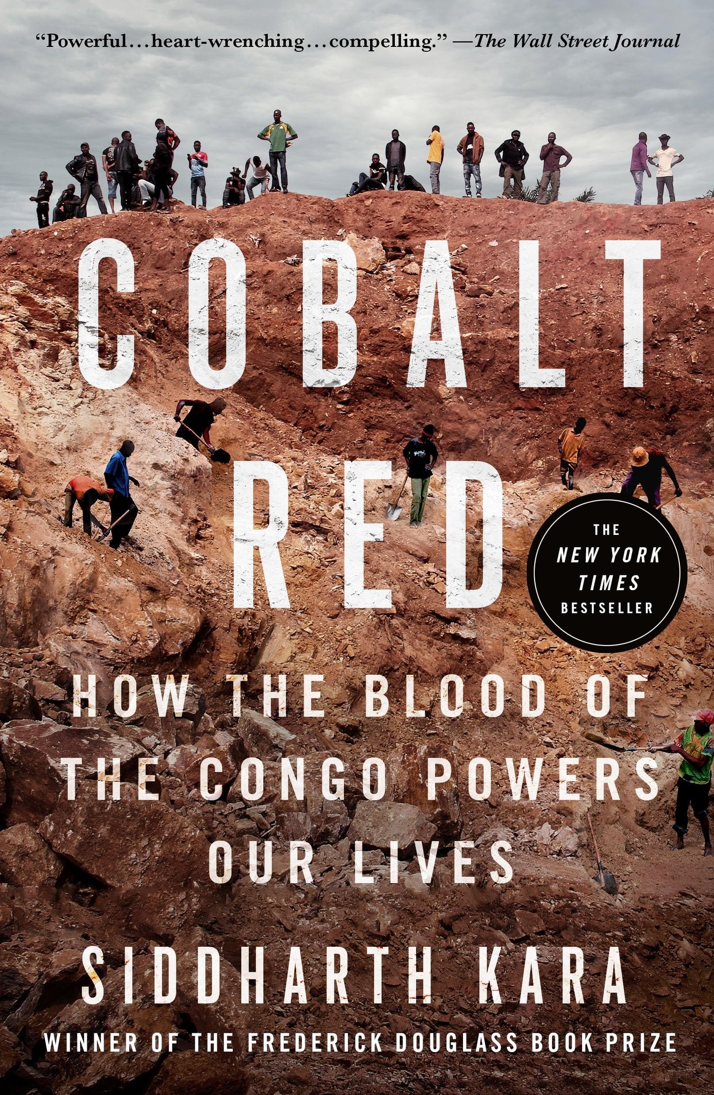 Cobalt Red: How the Blood of the Congo Powers Our Lives book cover