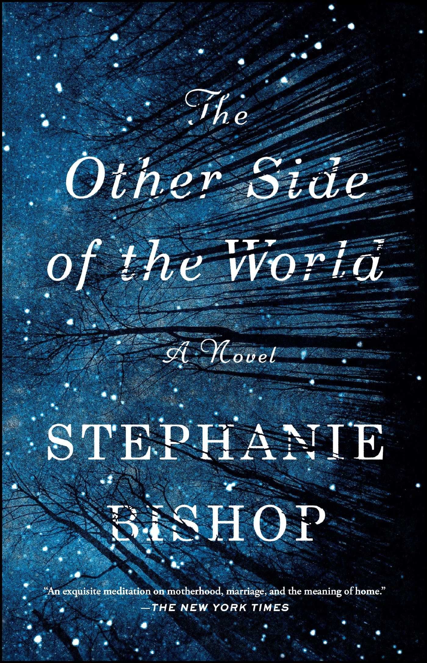Other Side of the World book cover