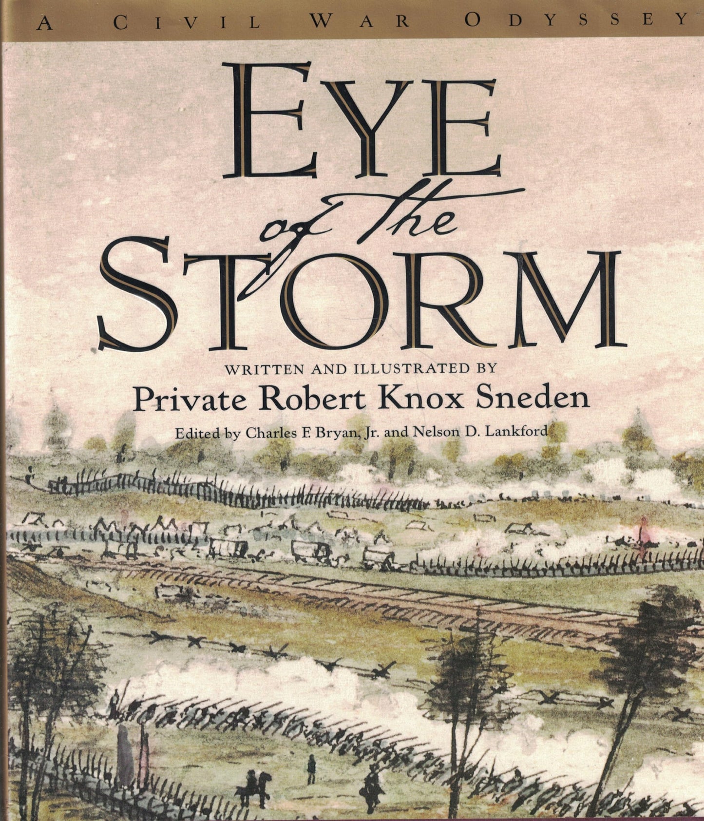 Eye of the Storm: A Civil War Odyssey book cover