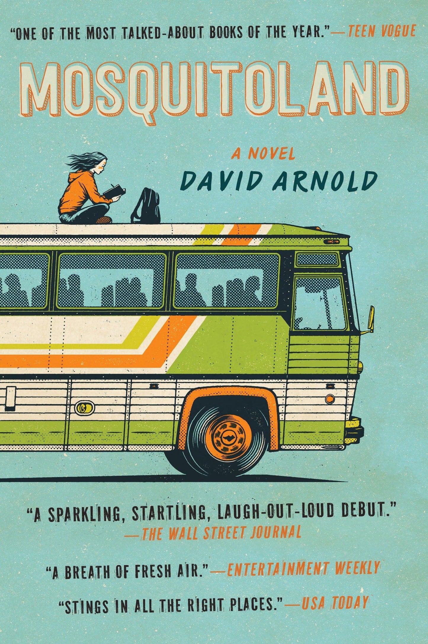 Mosquitoland book cover