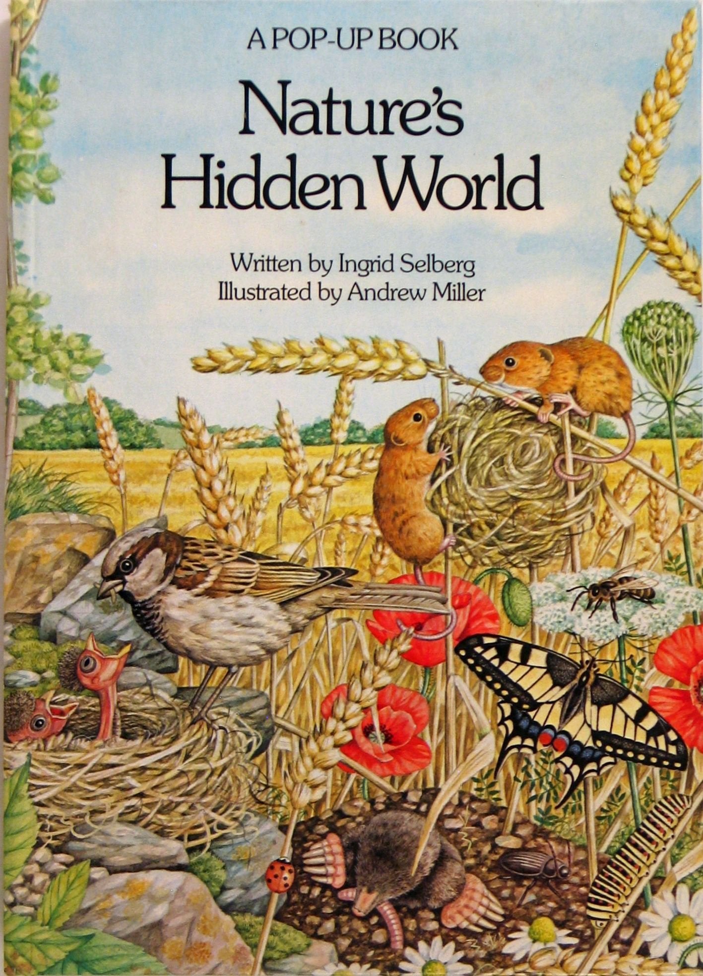 Nature's Hidden World (USA) book cover
