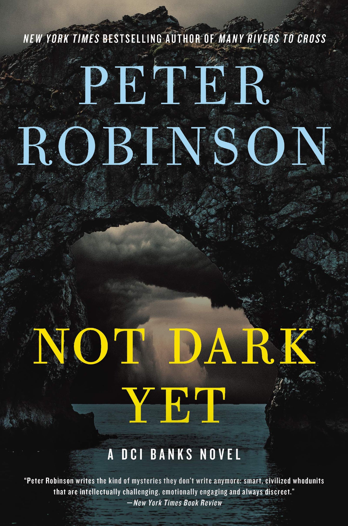 Not Dark Yet book cover