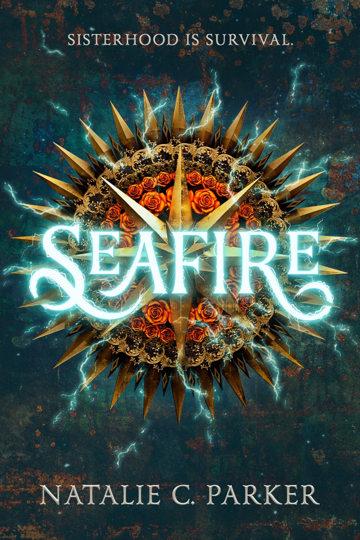 Seafire book cover