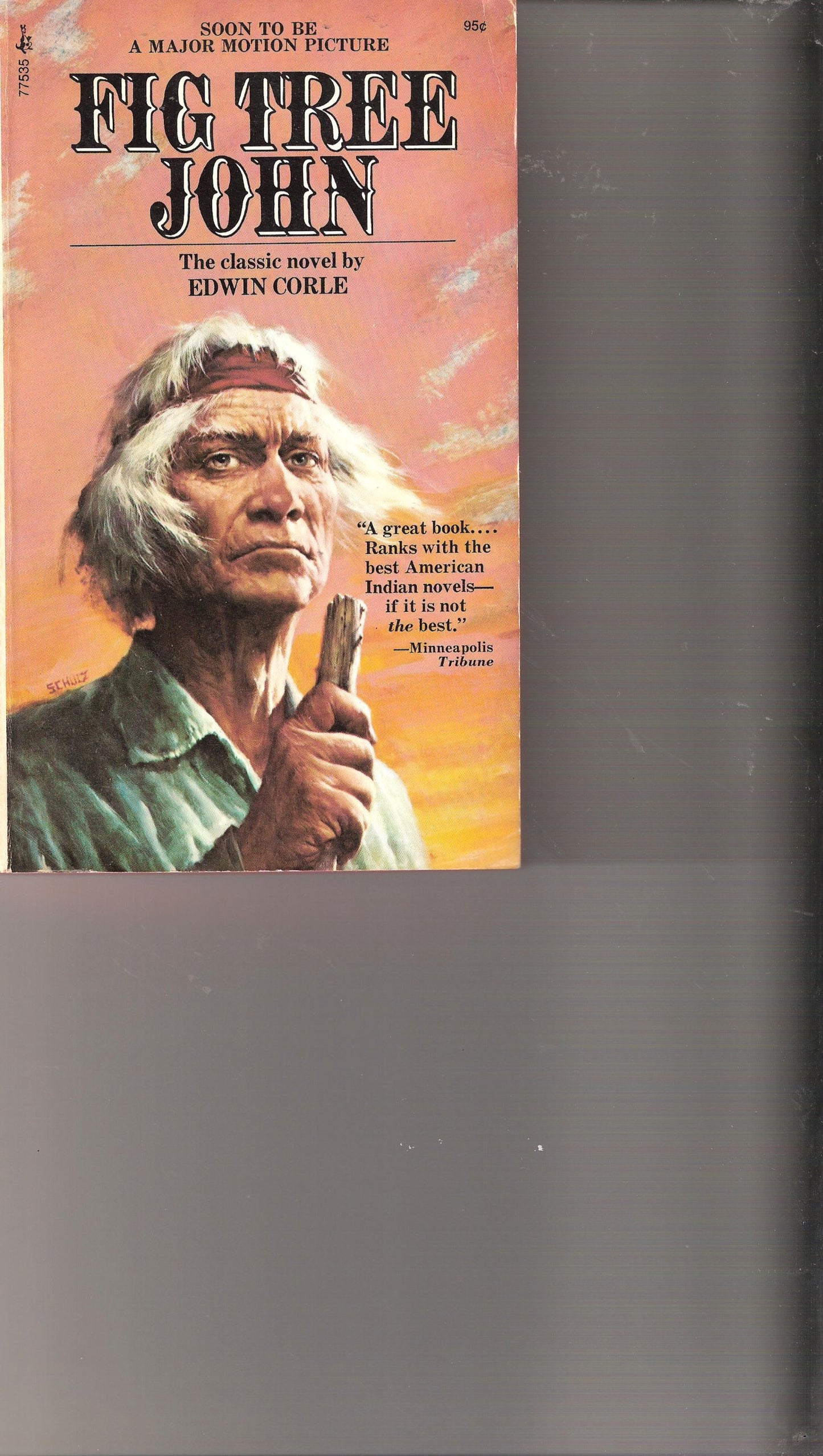 Fig Tree John book cover