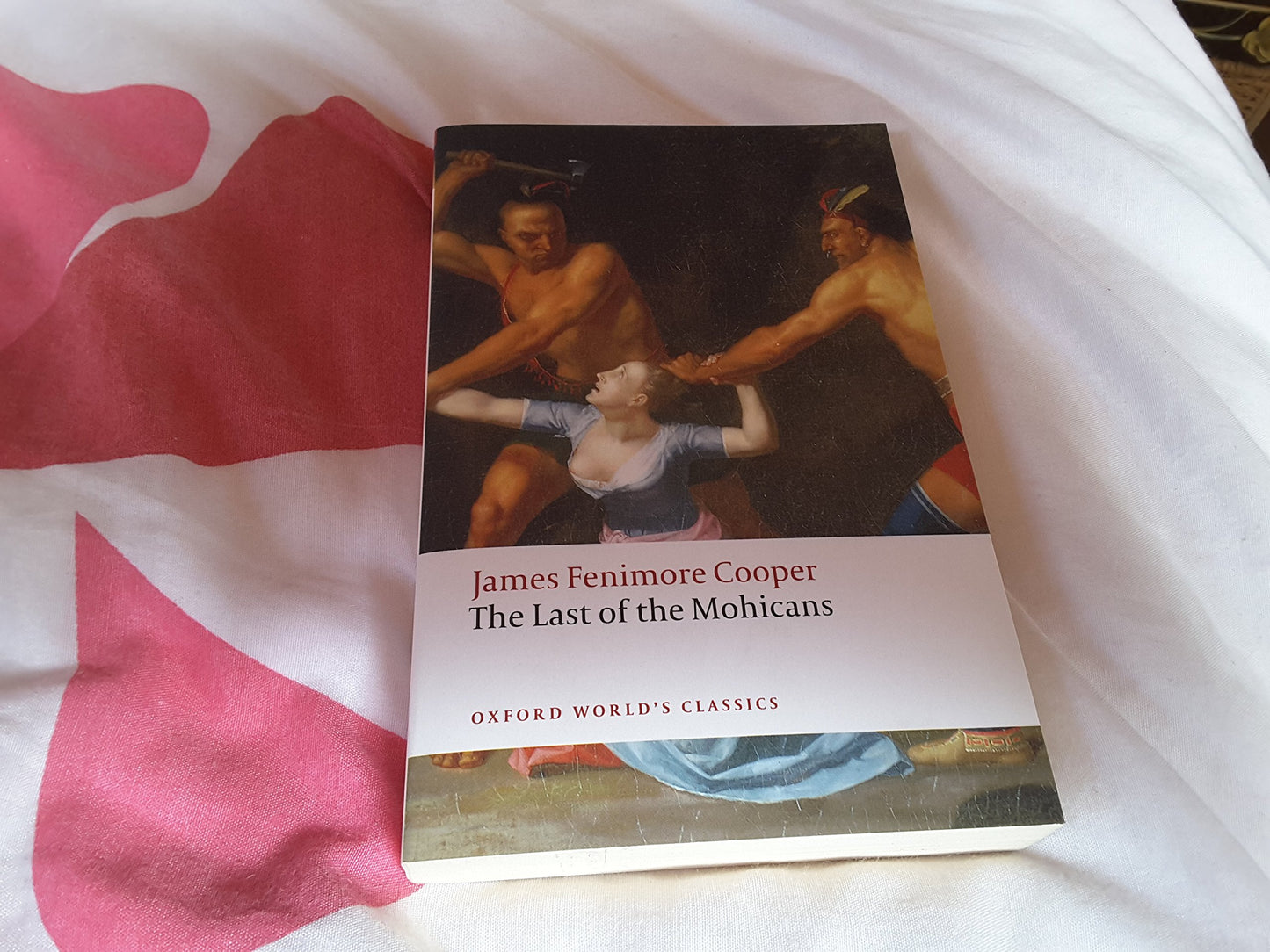 Last of the Mohicans book cover