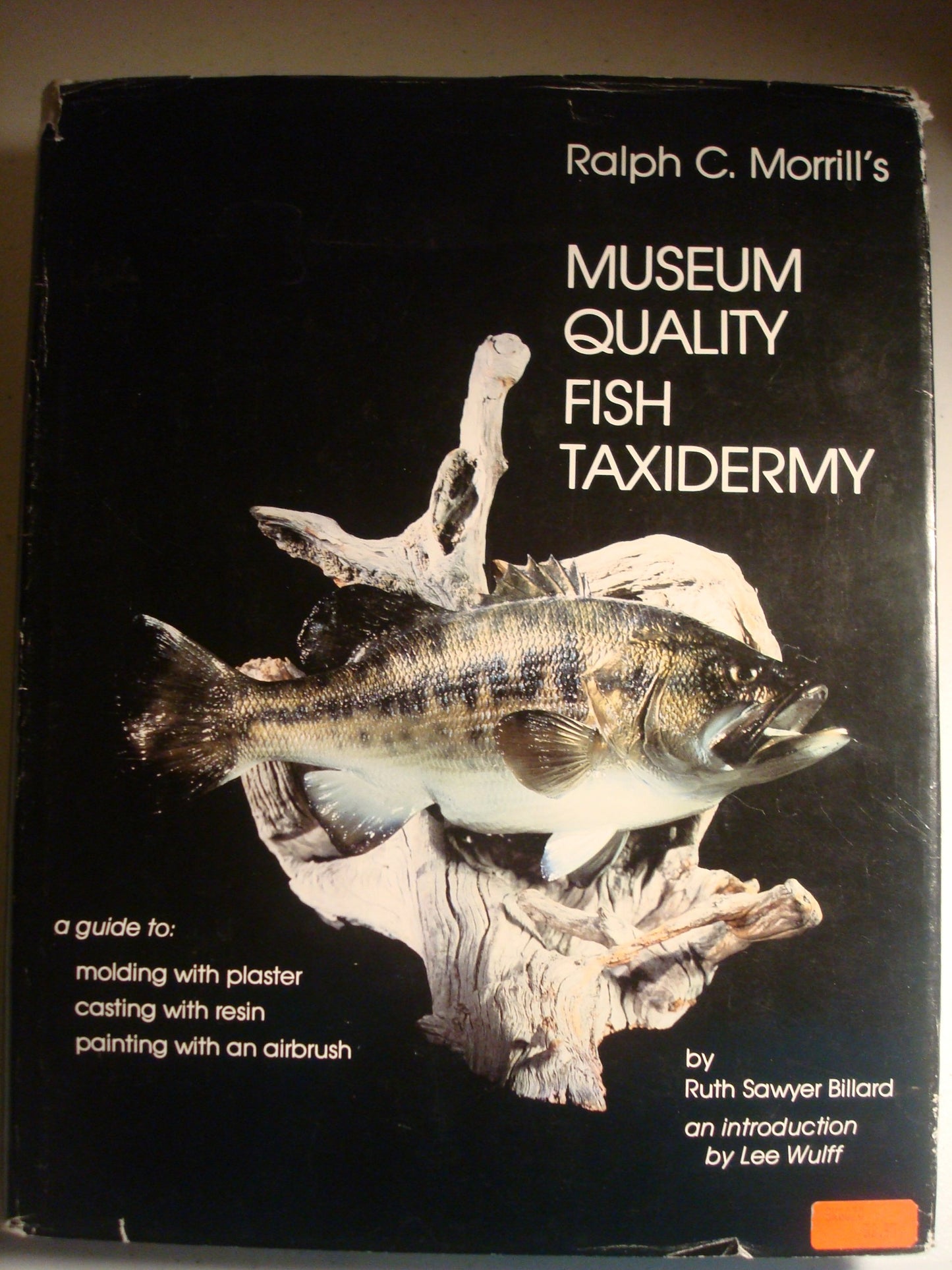 Ralph C. Morrill's Museum Quality Fish Taxidermy: A Guide to Molding with Plaster, Casting with Resin, Painting with an Airbrush
