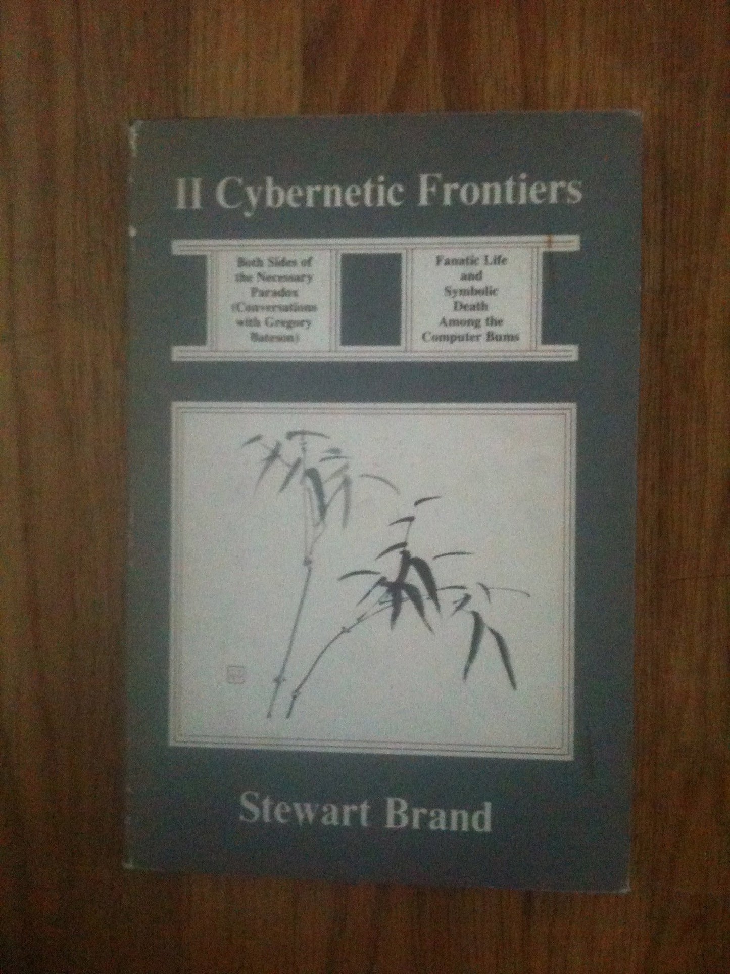 II Cybernetic Frontiers book cover