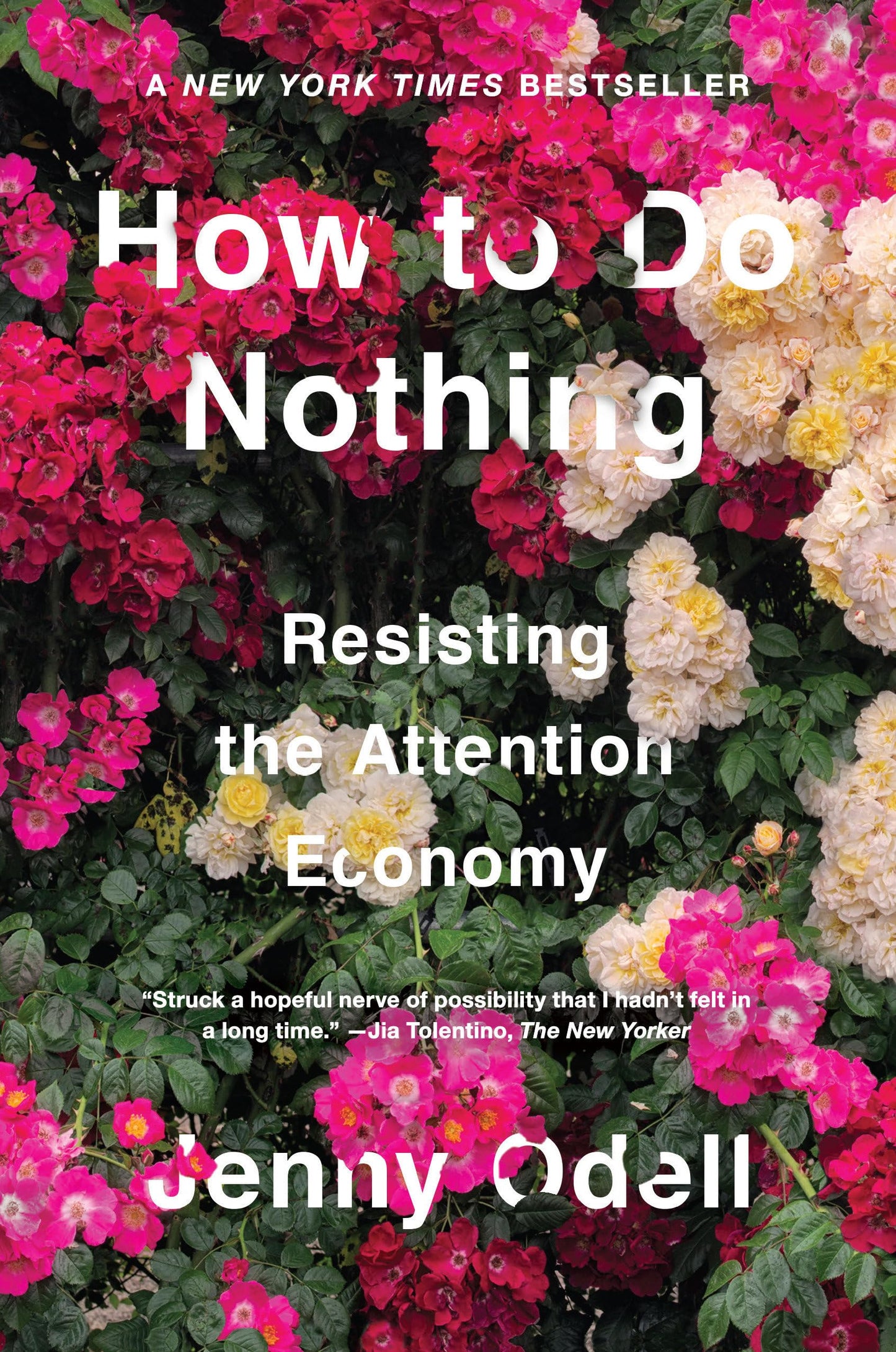 How to Do Nothing: Resisting the Attention Economy book cover