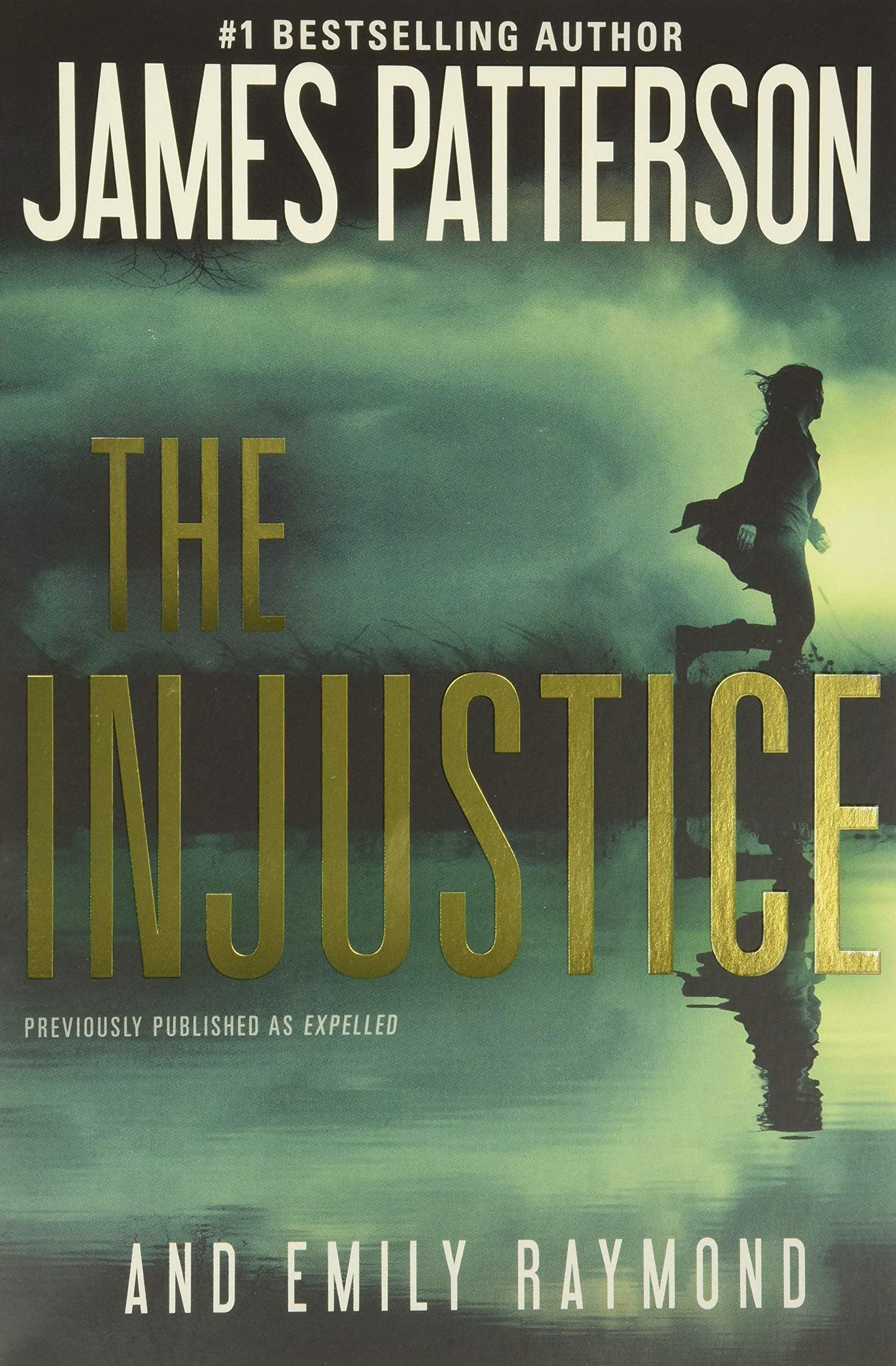 Injustice book cover